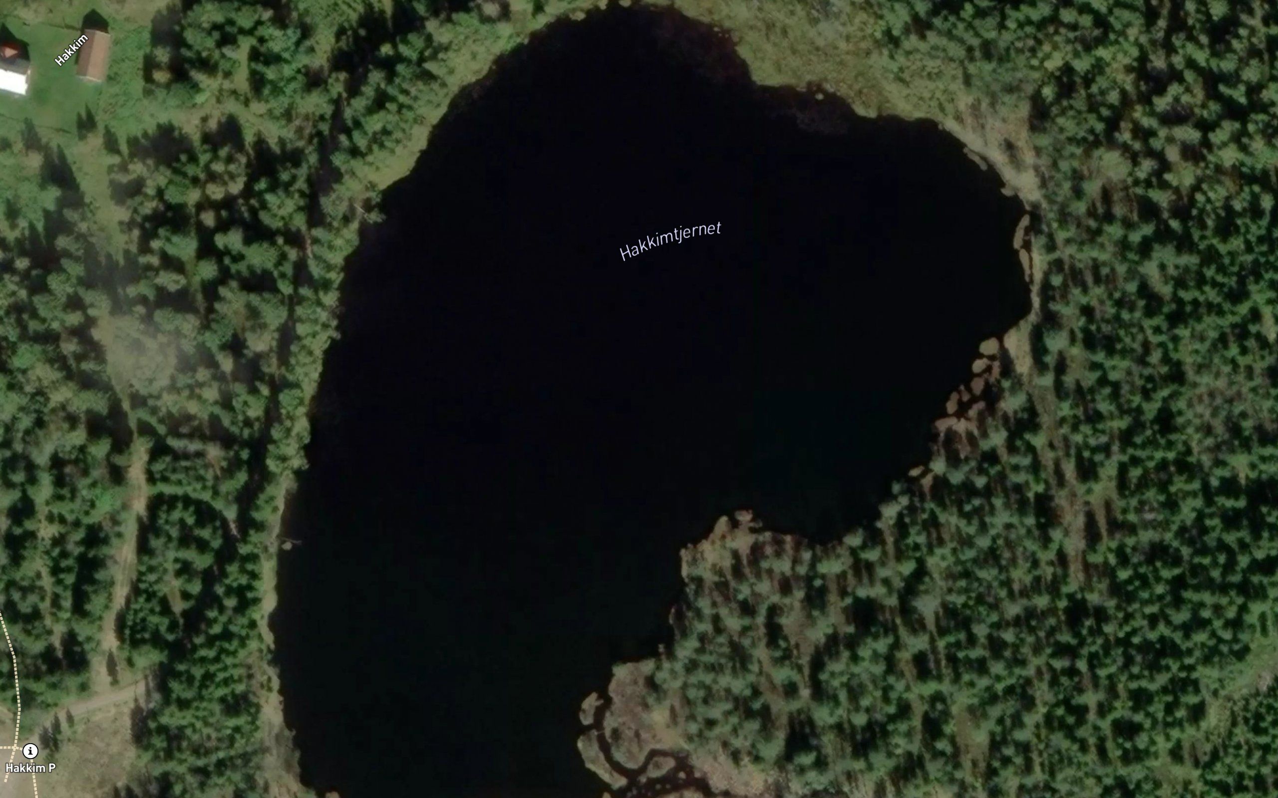 Hakkimtjernet