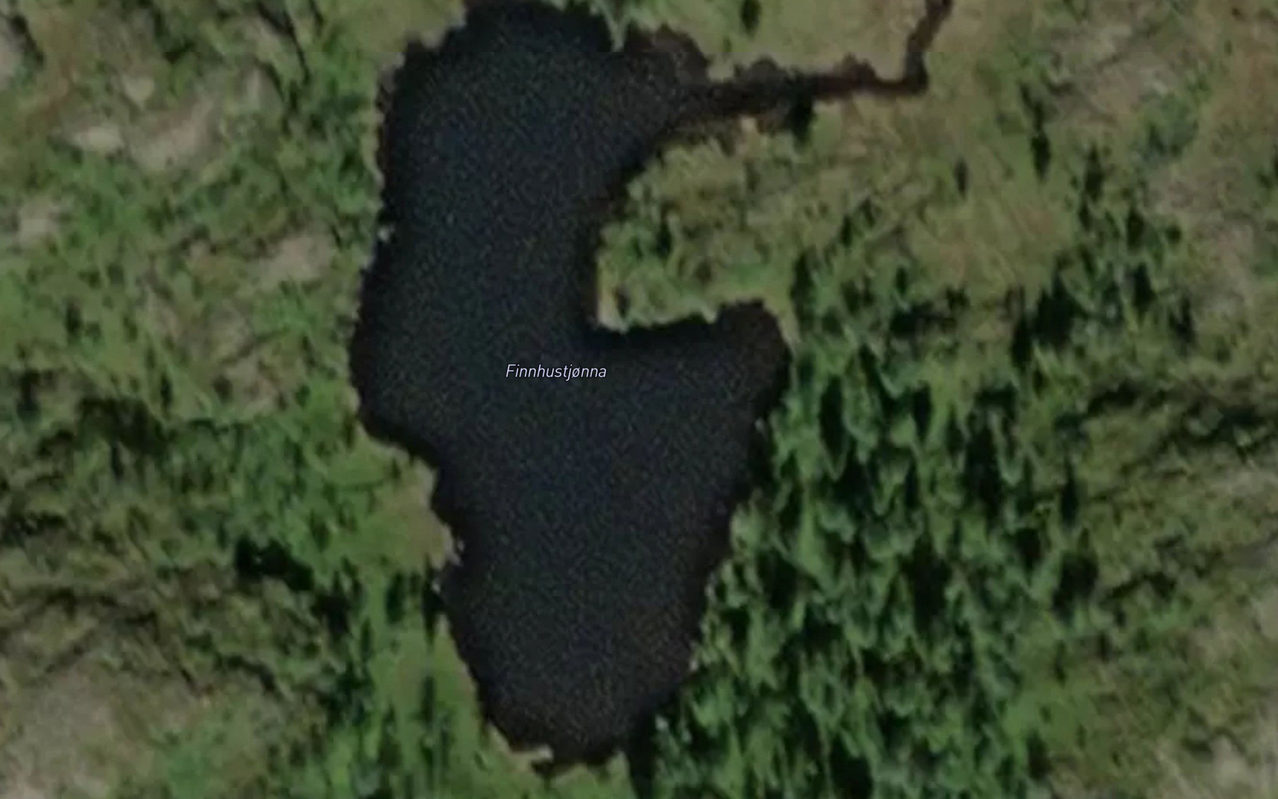 Finnhustjorna