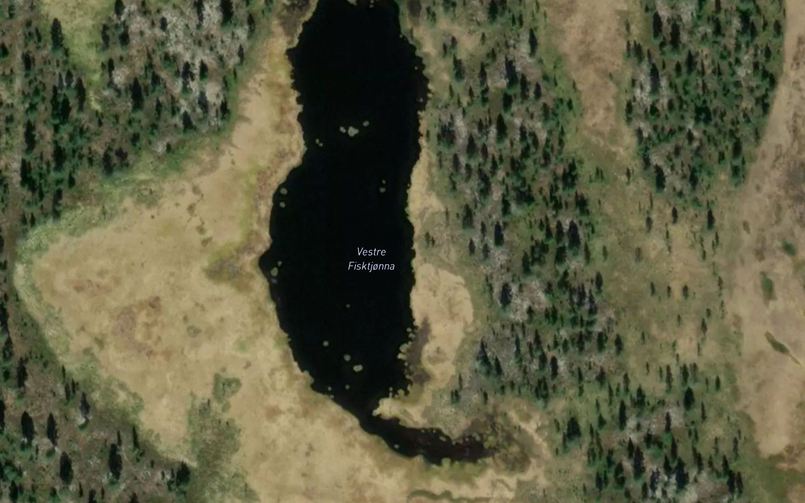 Vestre Fisktjonna