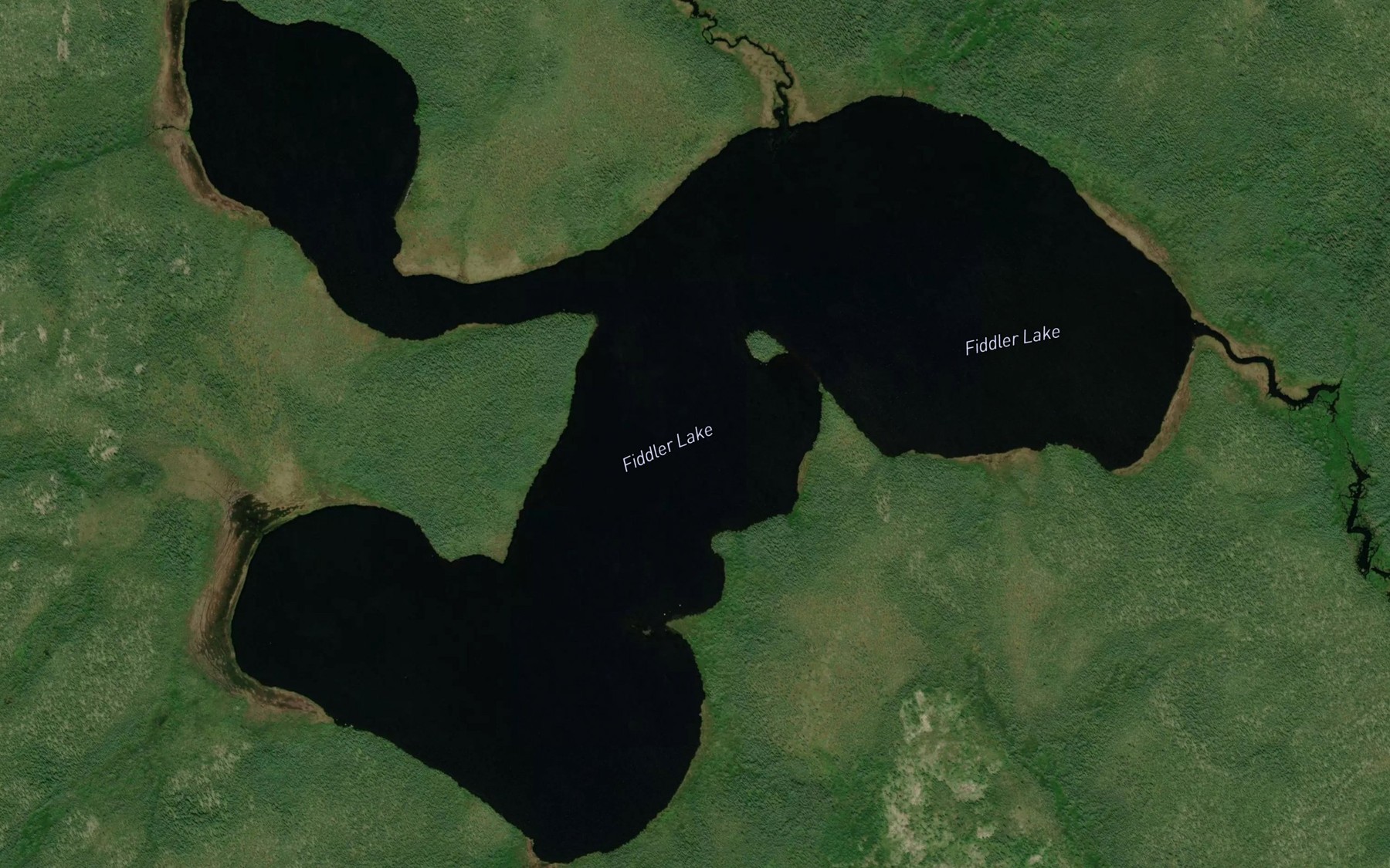 Satellite map of the Fiddler Lake