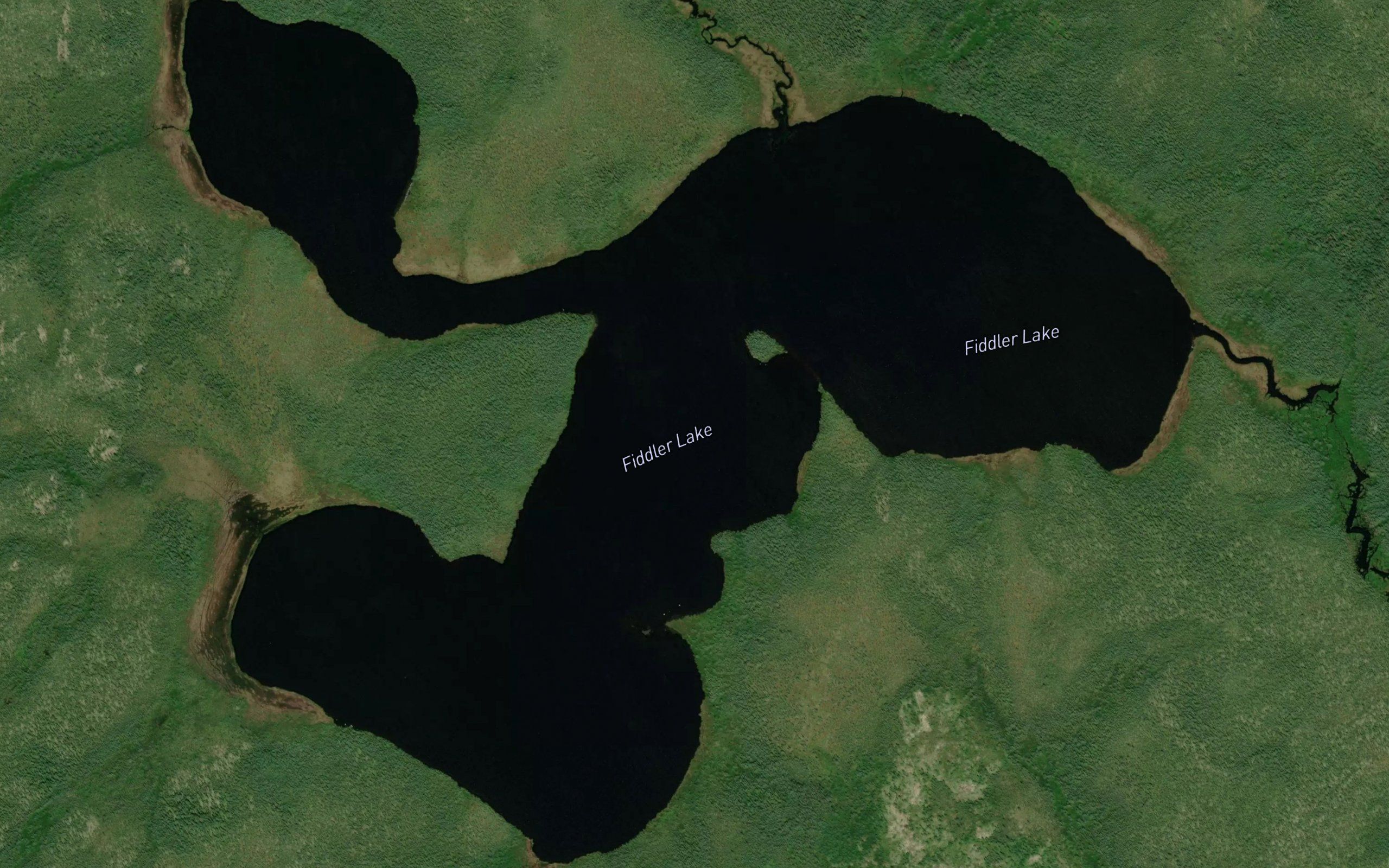 Fiddler Lake