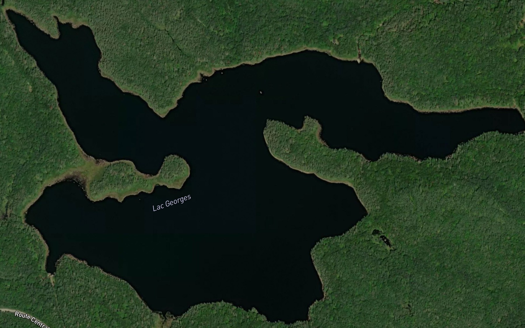 Satellite map of the Lac Georges