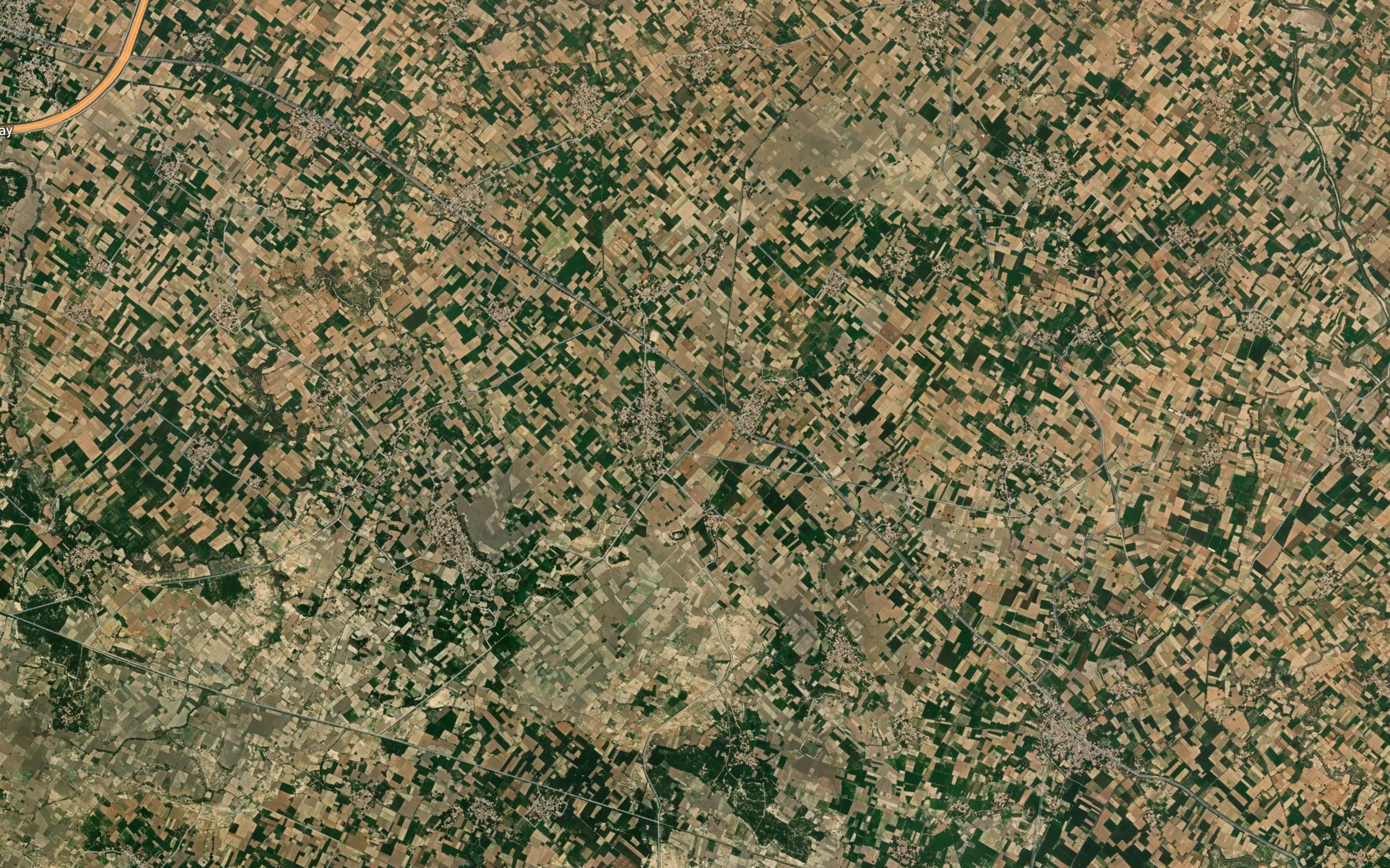 Saroli Minor