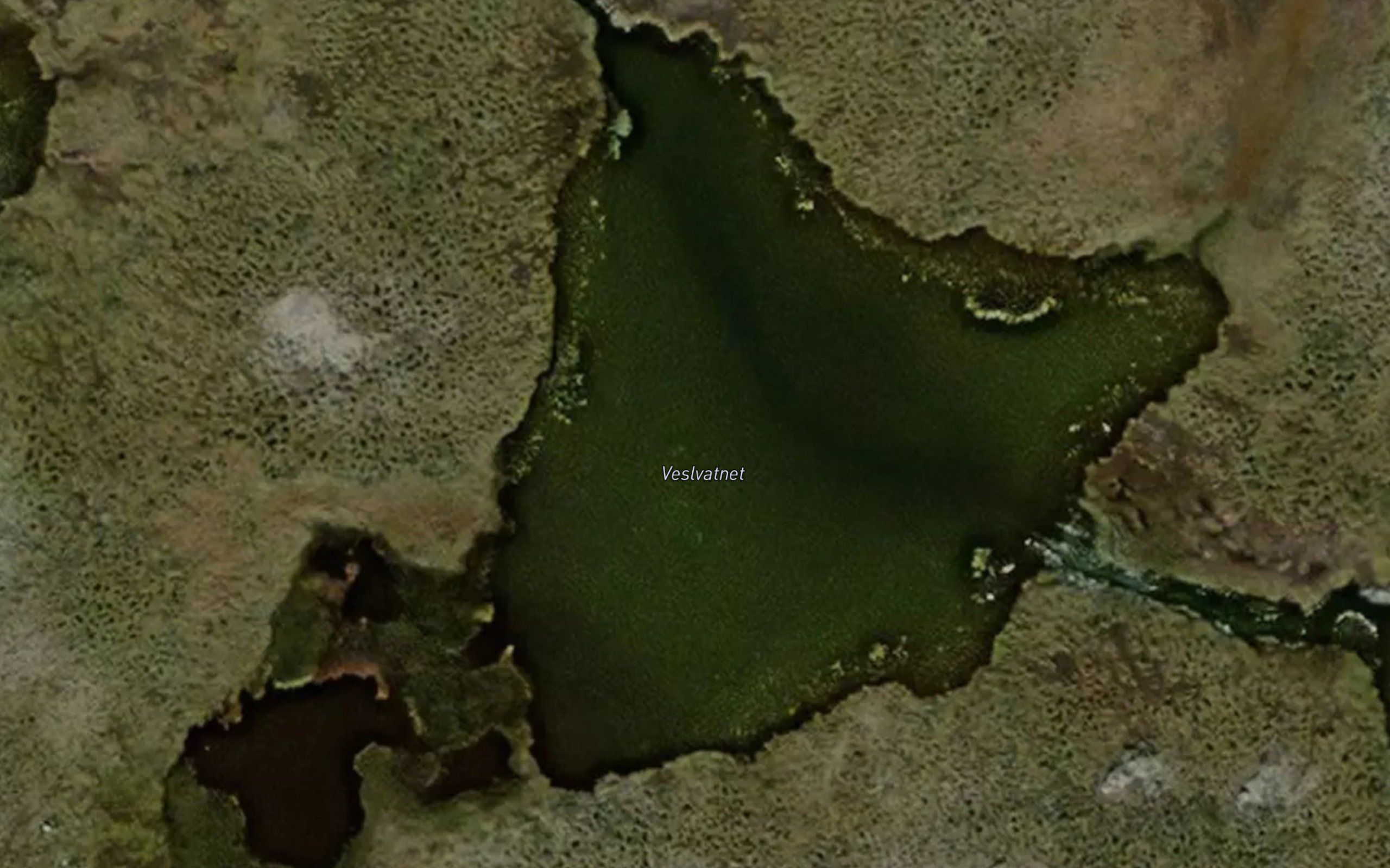 Veslvatnet