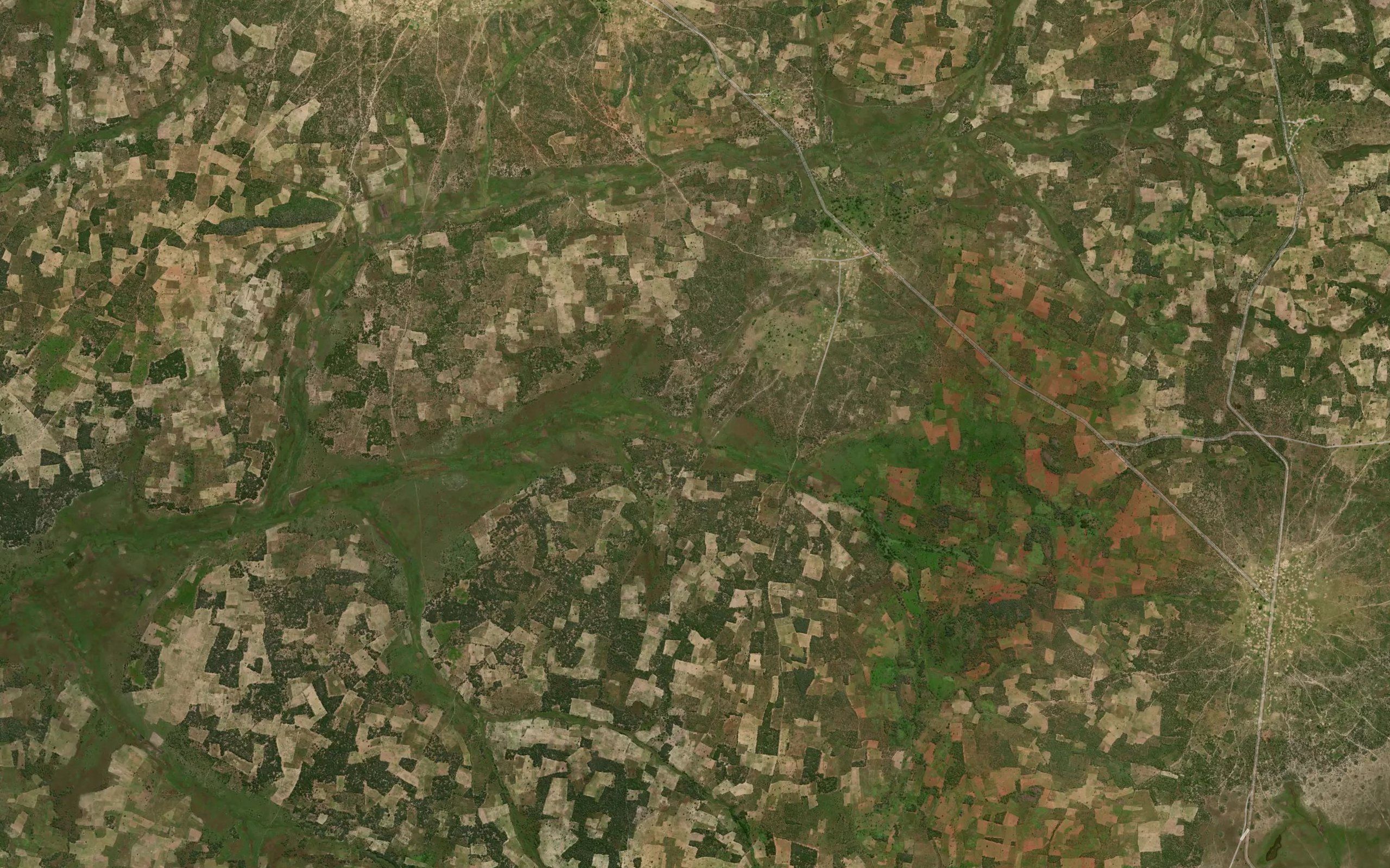 Cangola