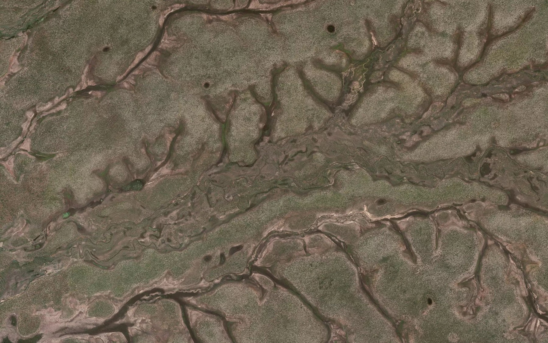 Satellite map of the Paradise Creek