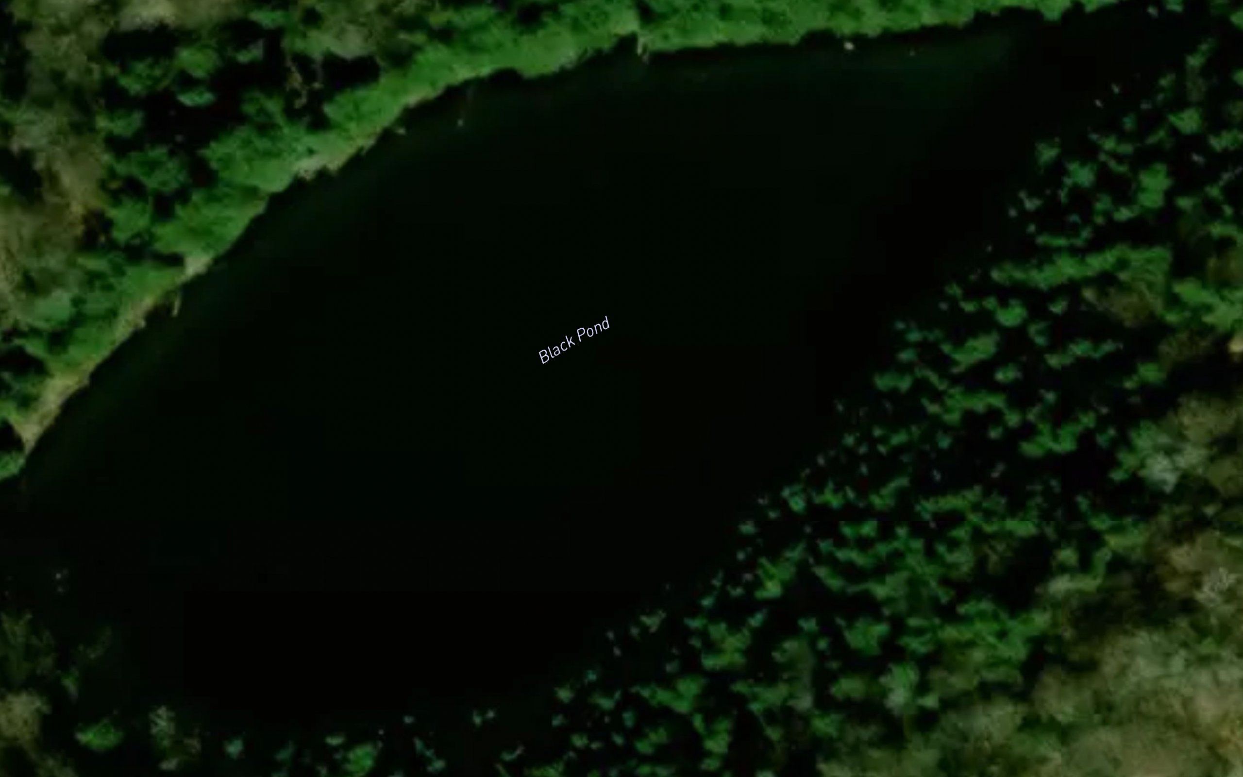 Black Pond