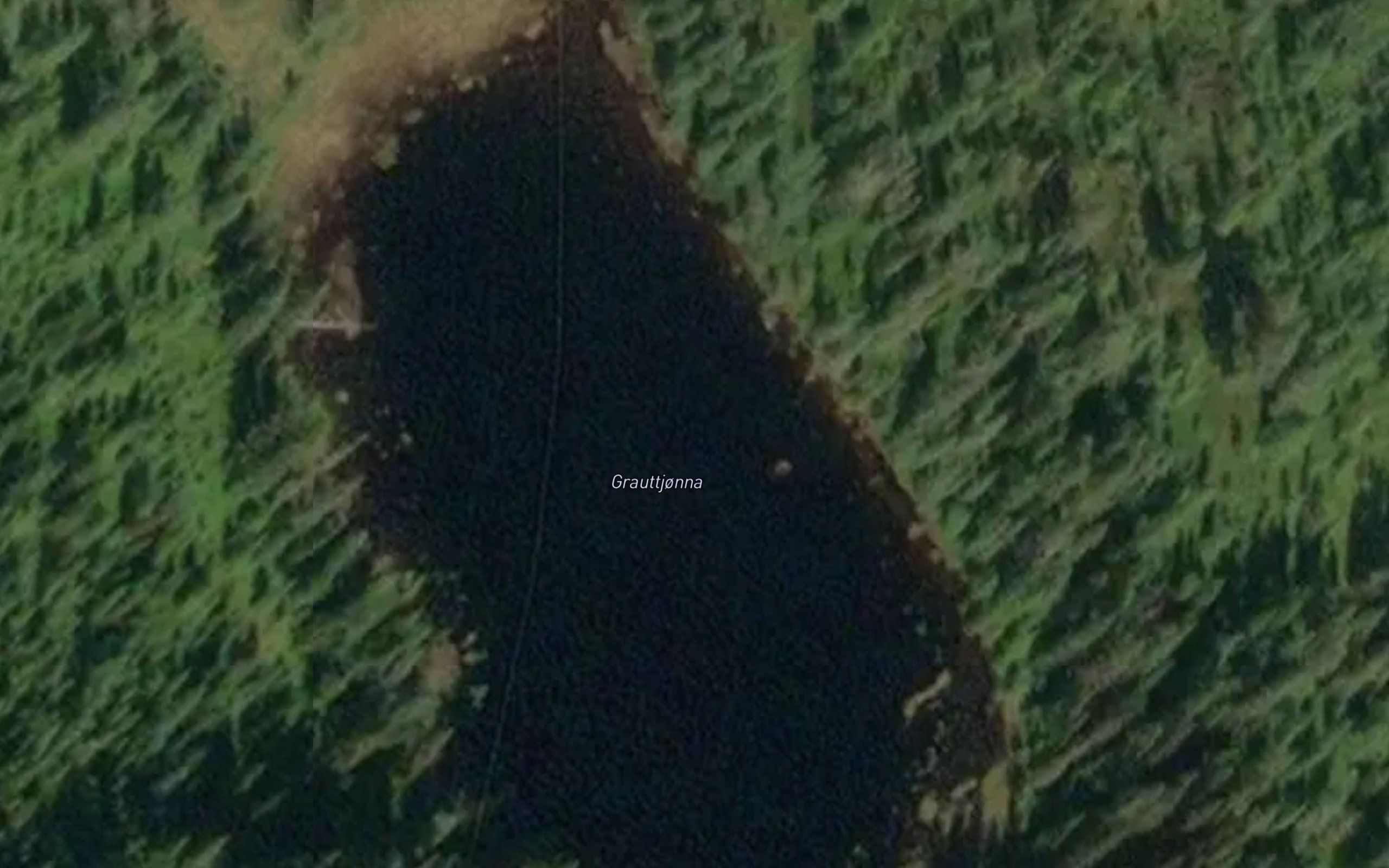 Grauttjorna