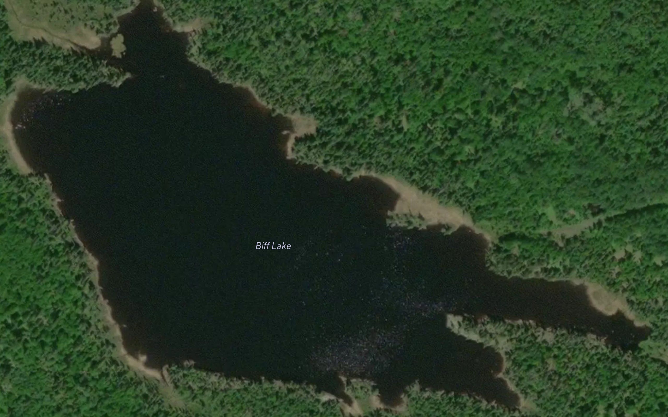 Biff Lake