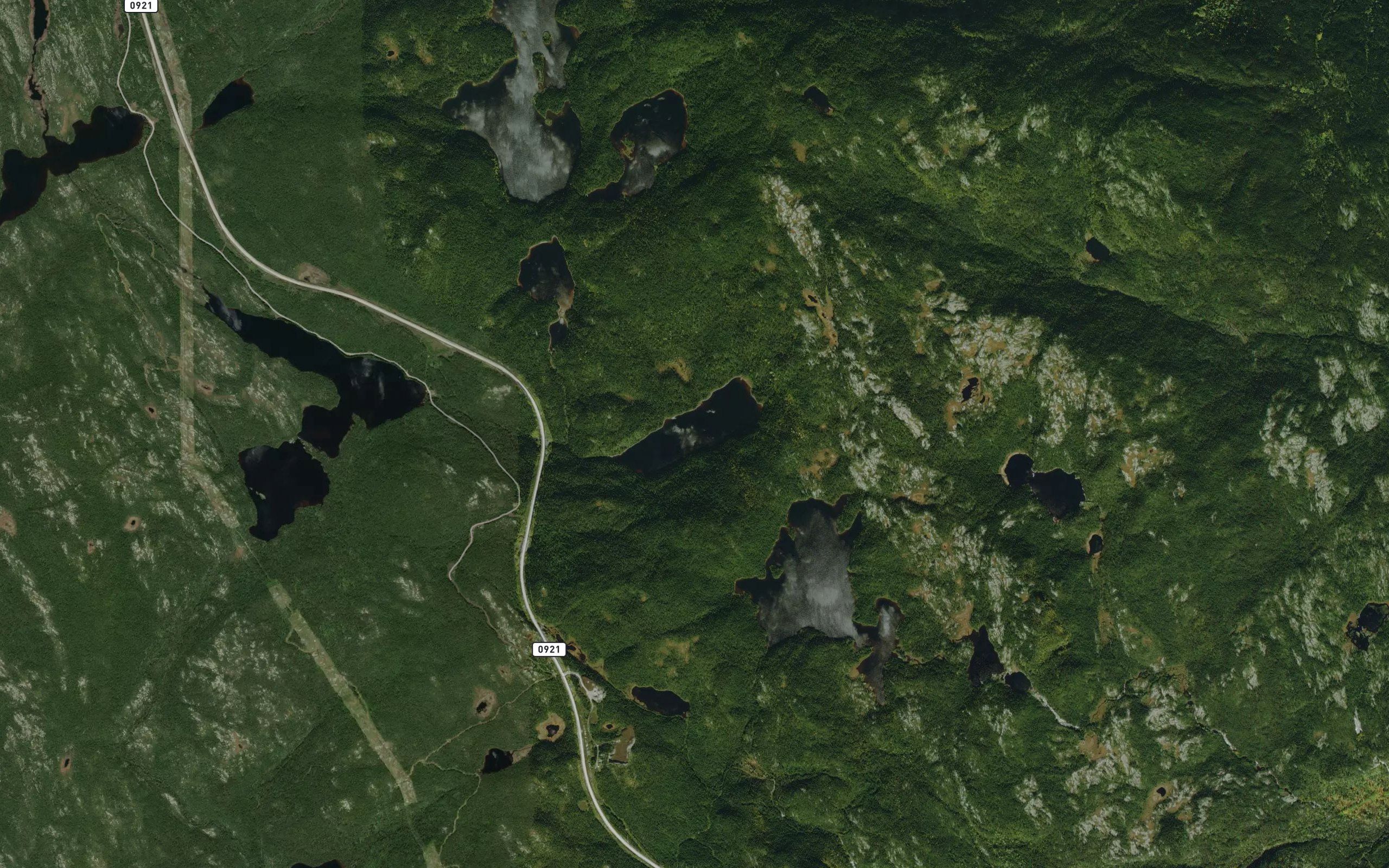 Lac Reid