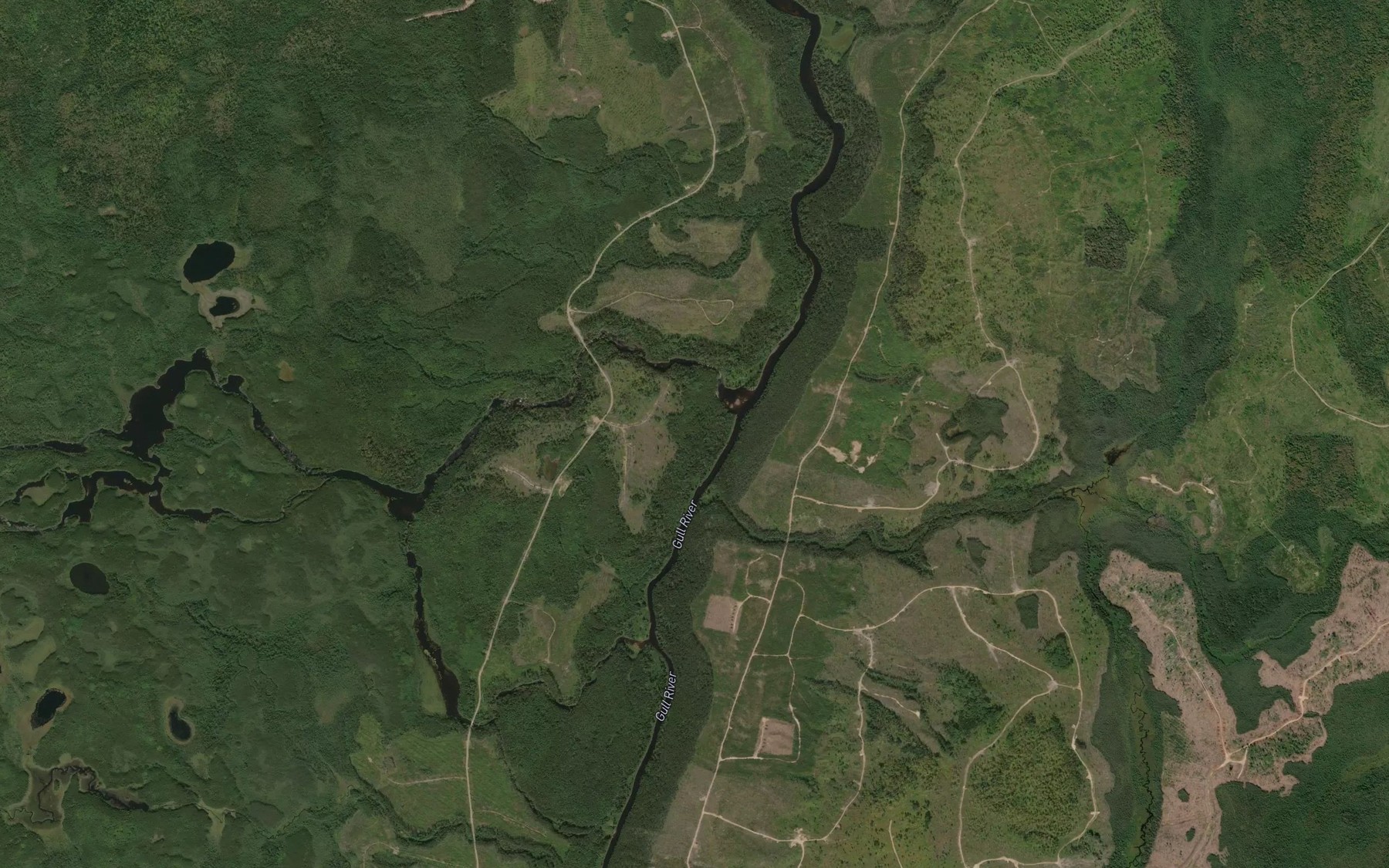 Satellite map of the Roaring River