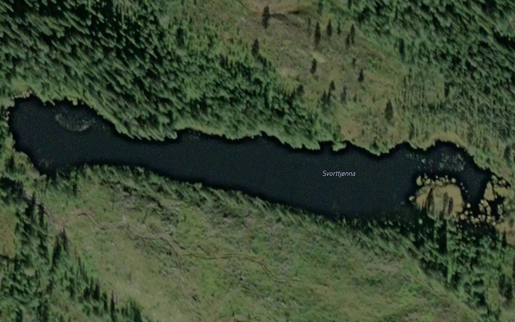 Satellite map of the Svorttjorna