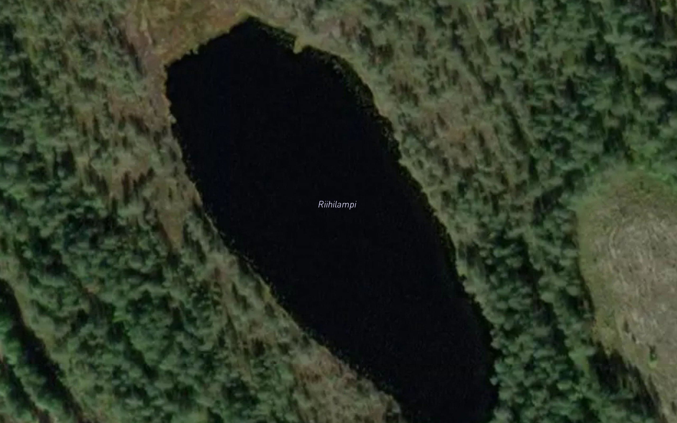 Riihilampi