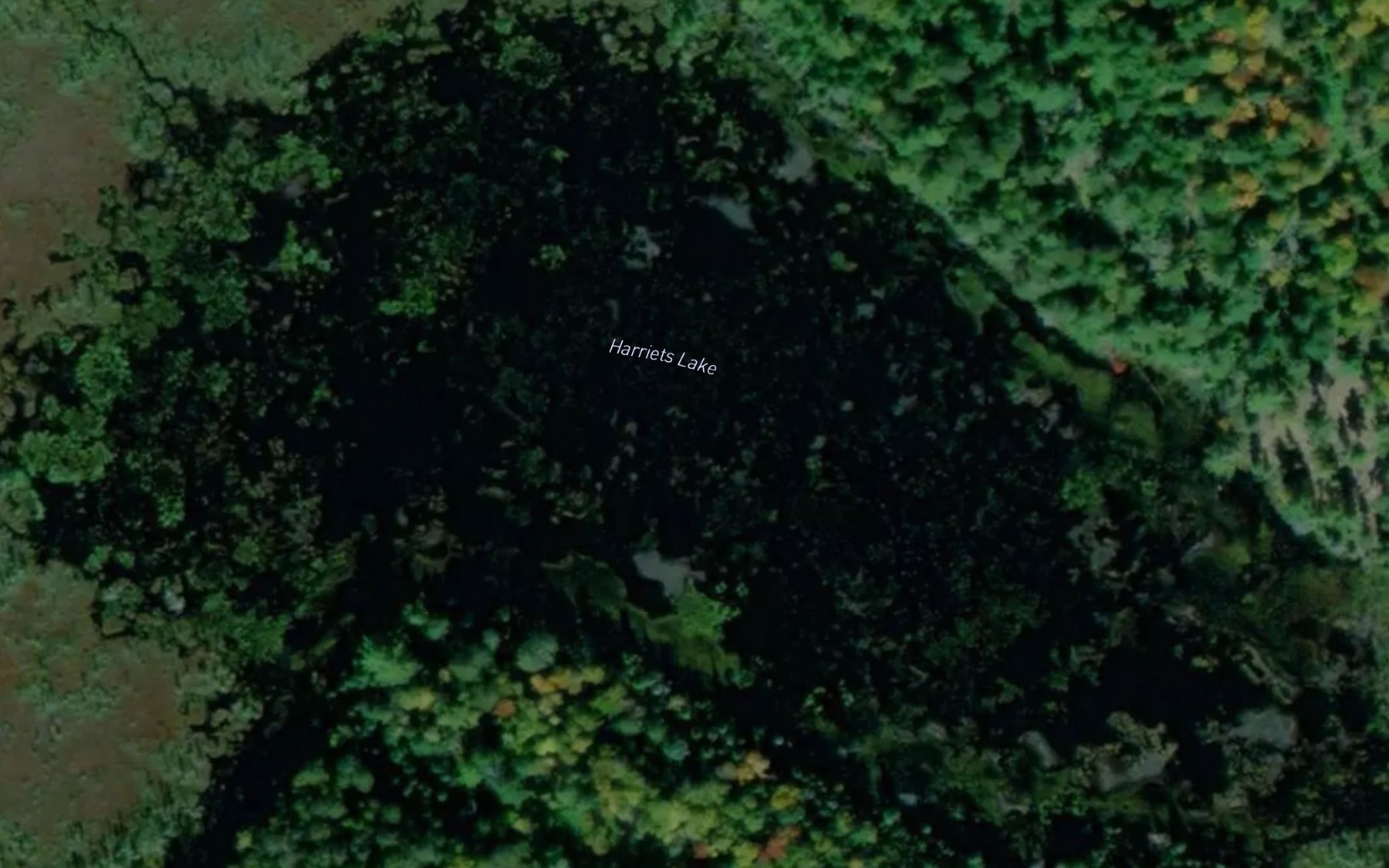 Satellite map of the Harriets Lake