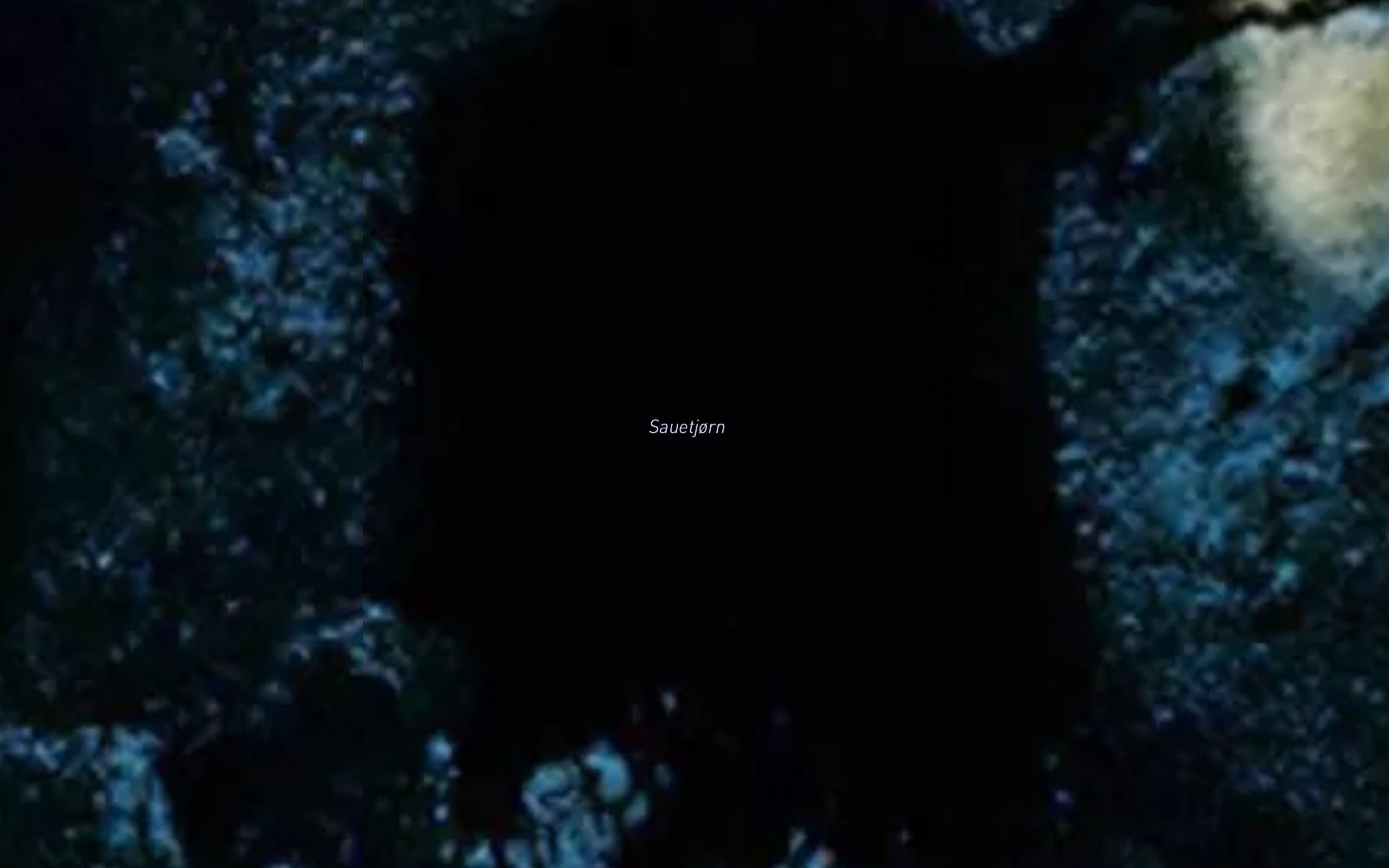 Sauetjorn