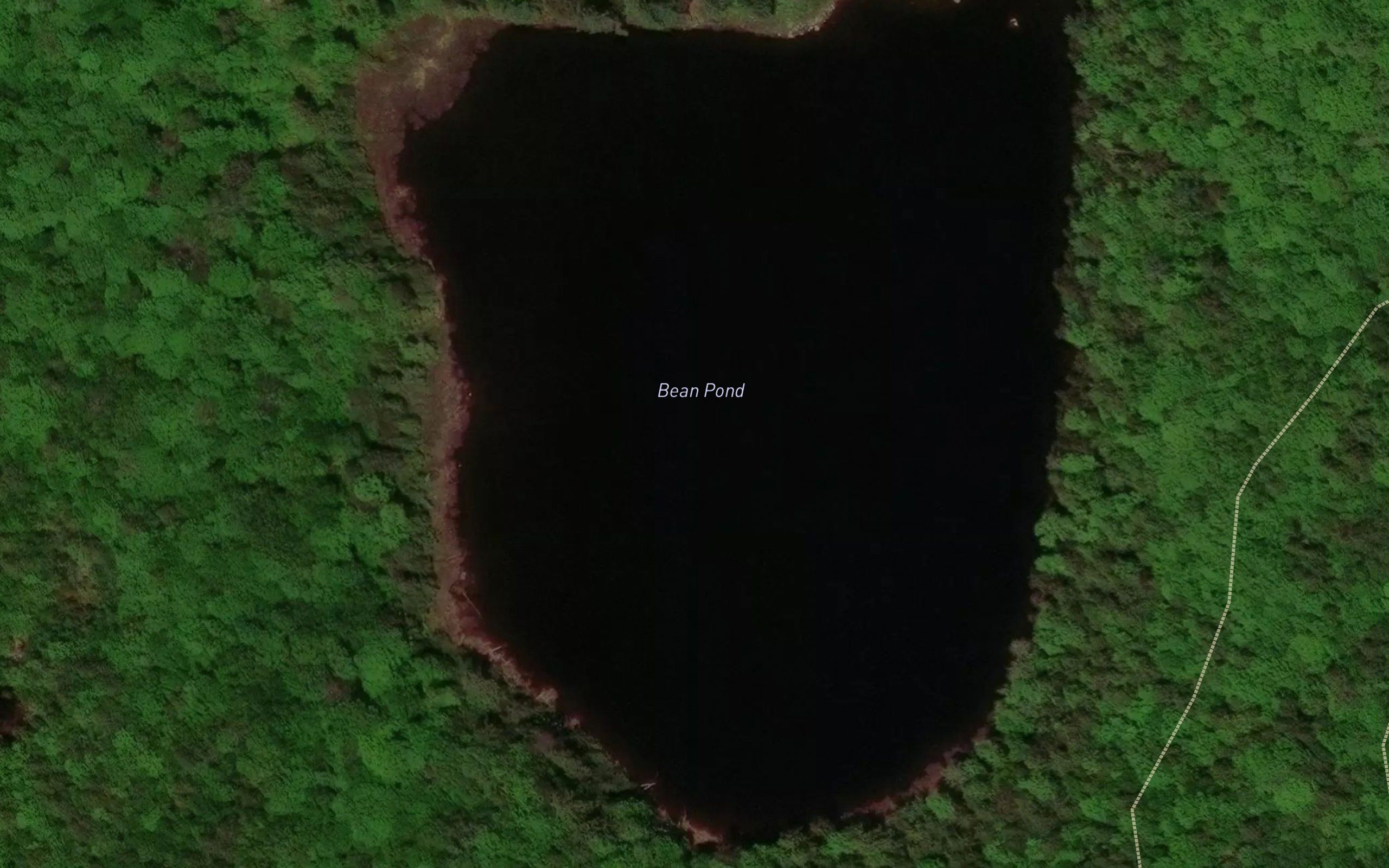 Bean Pond