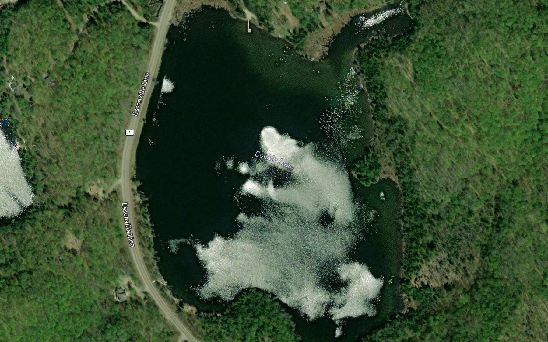Satellite map of the Cockle Lake