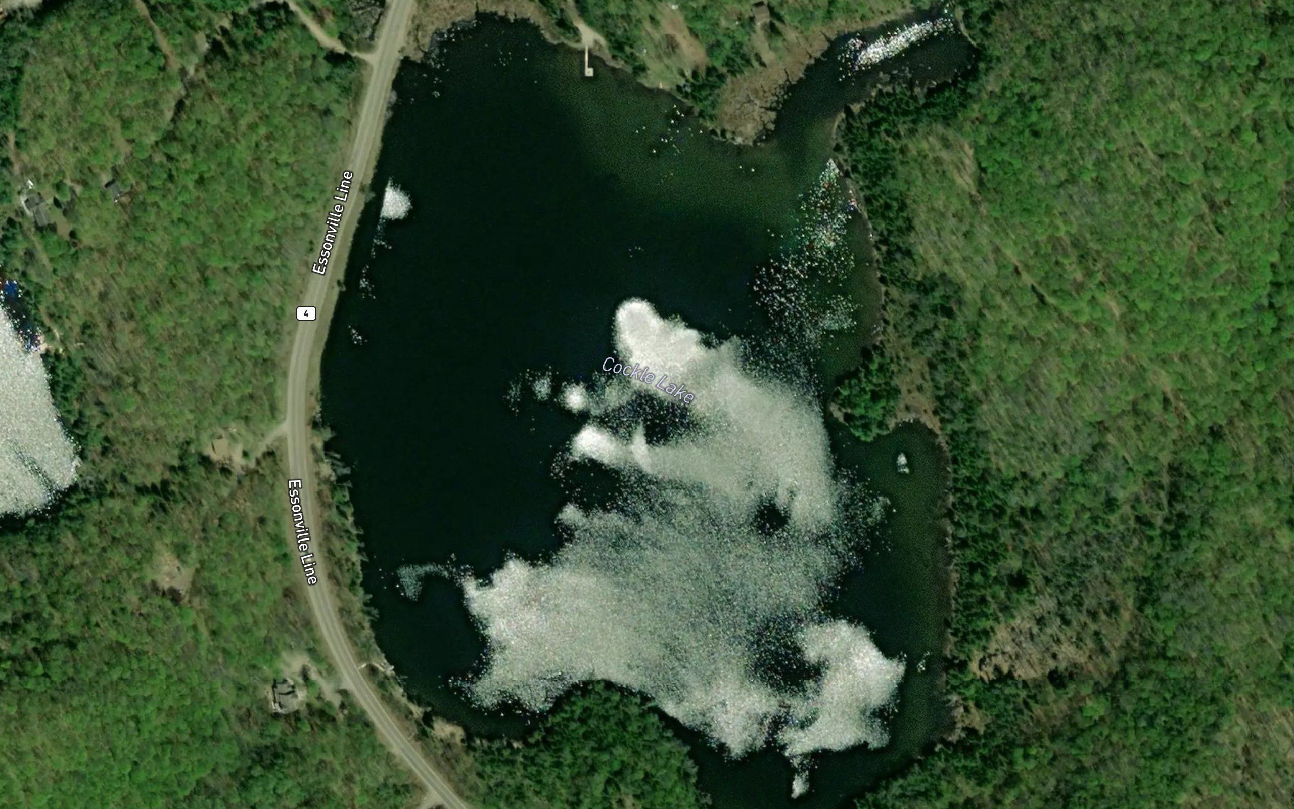 Cockle Lake