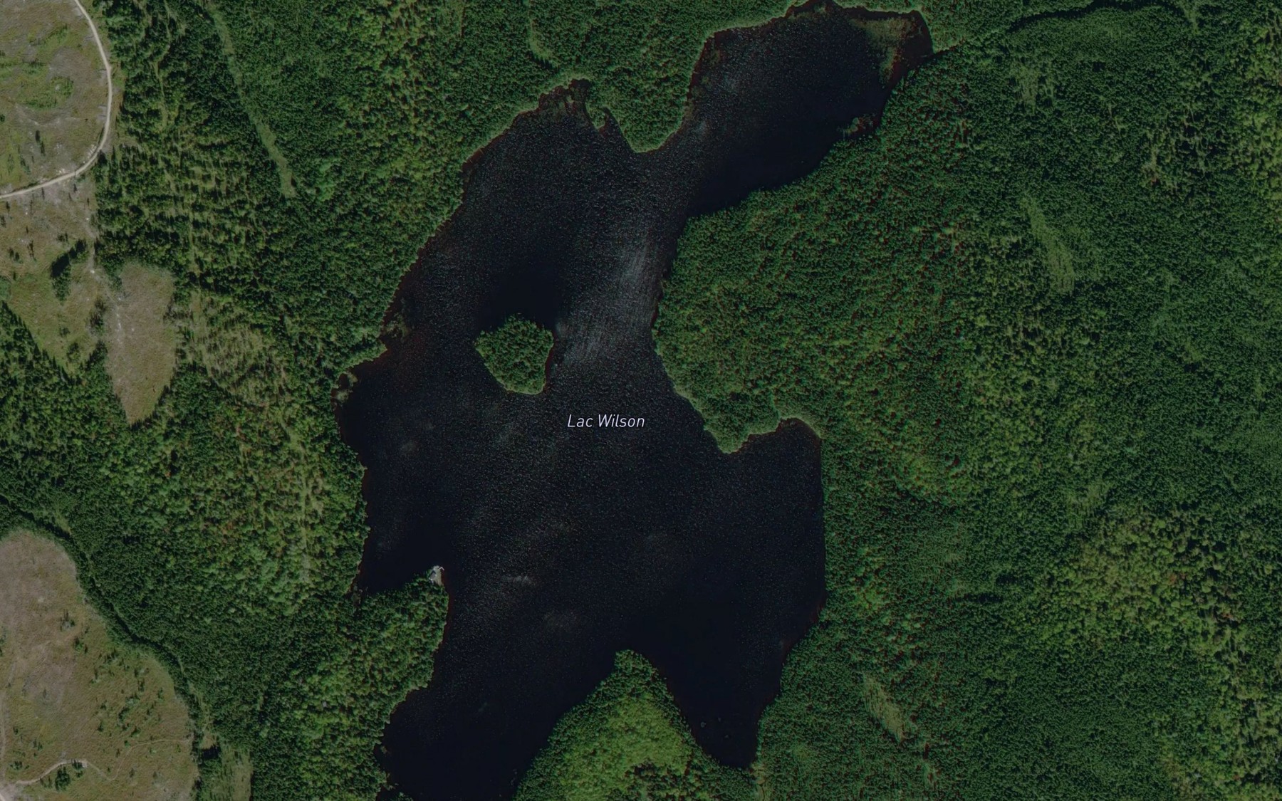 Satellite map of the Lac Wilson