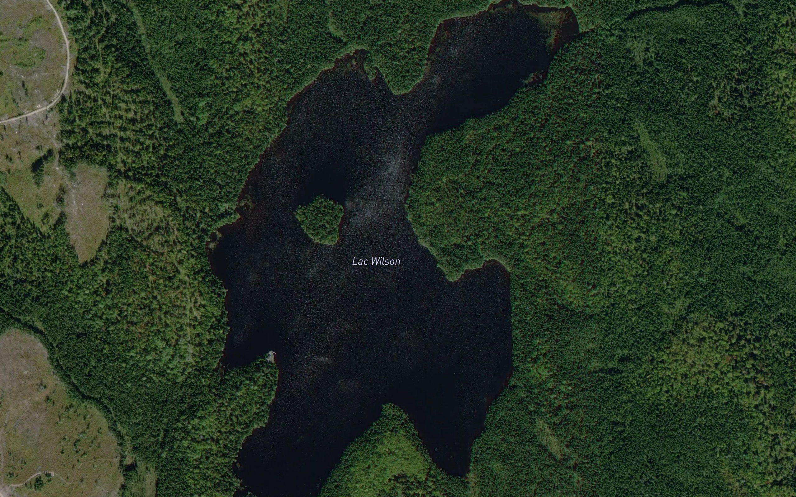 Lac Wilson