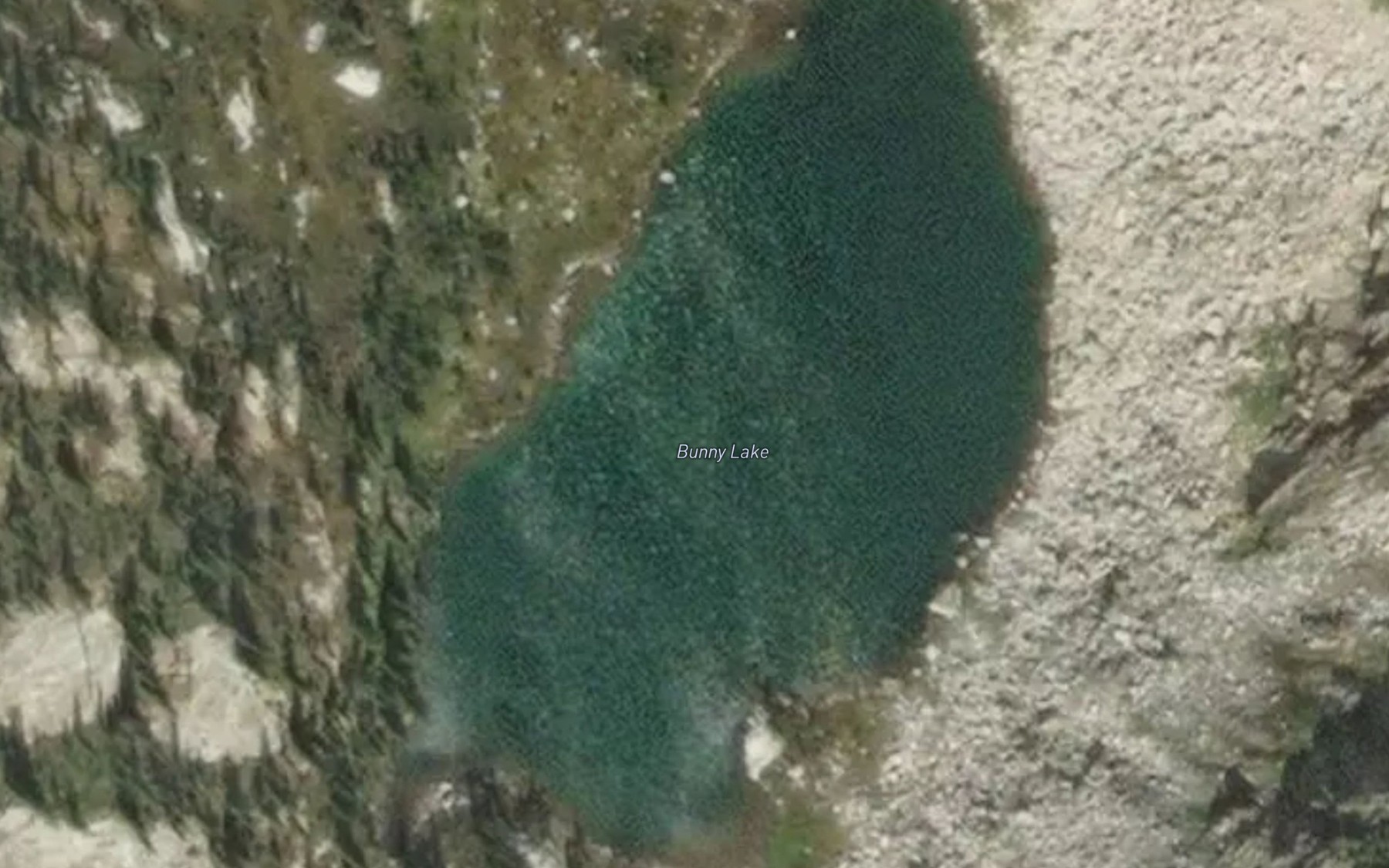 Satellite map of the Bunny Lake