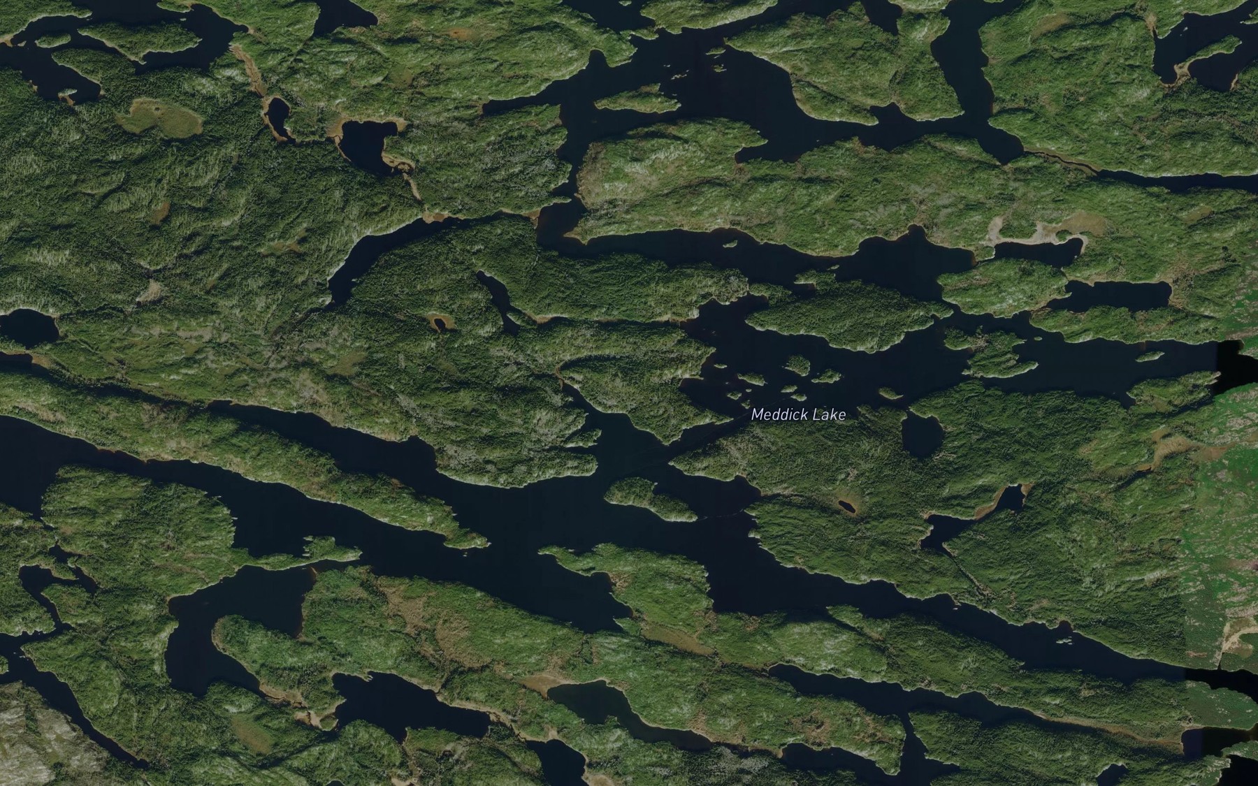 Satellite map of the Meddick Lake