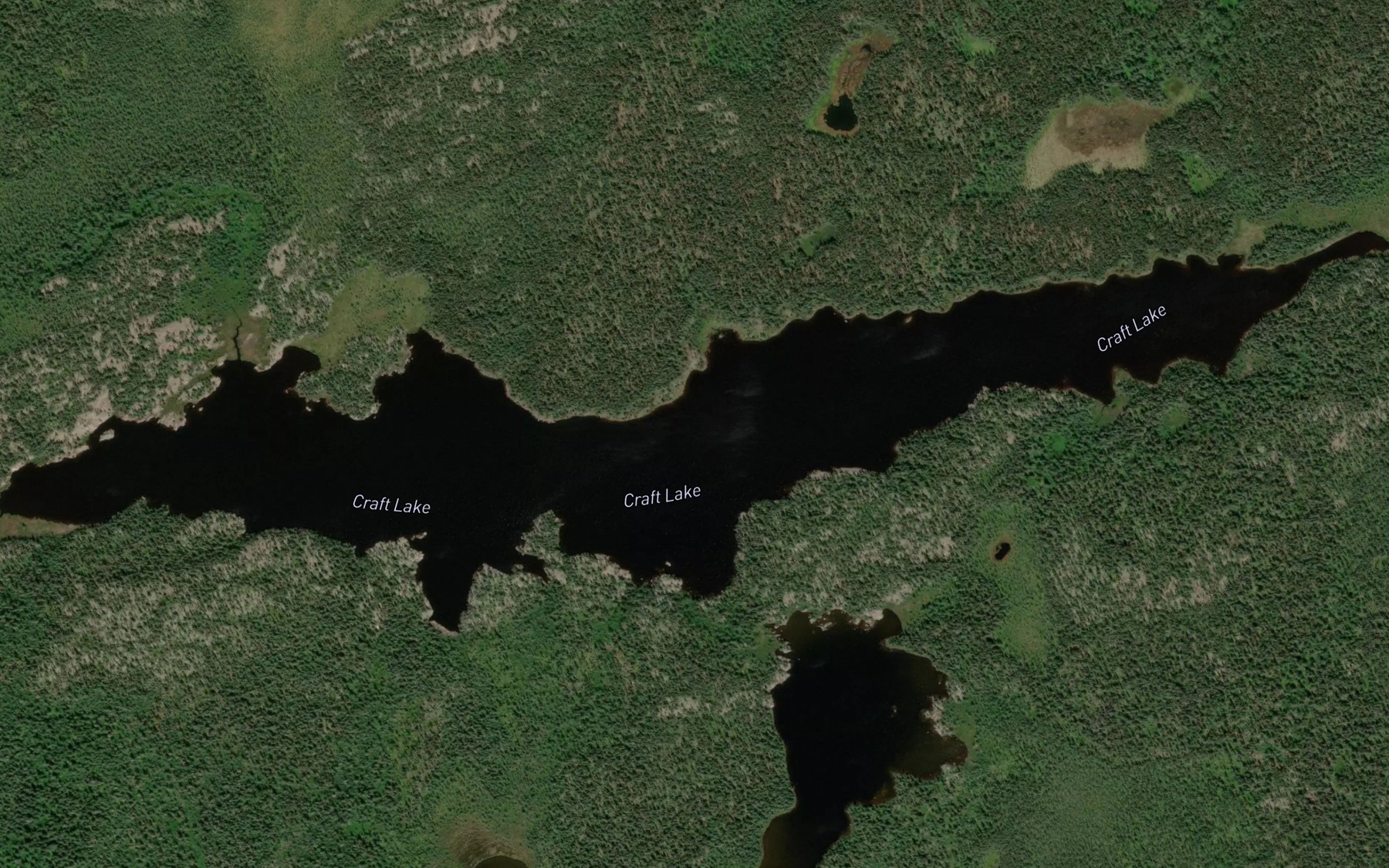Satellite map of the Craft Lake
