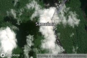 Igarape Samauma