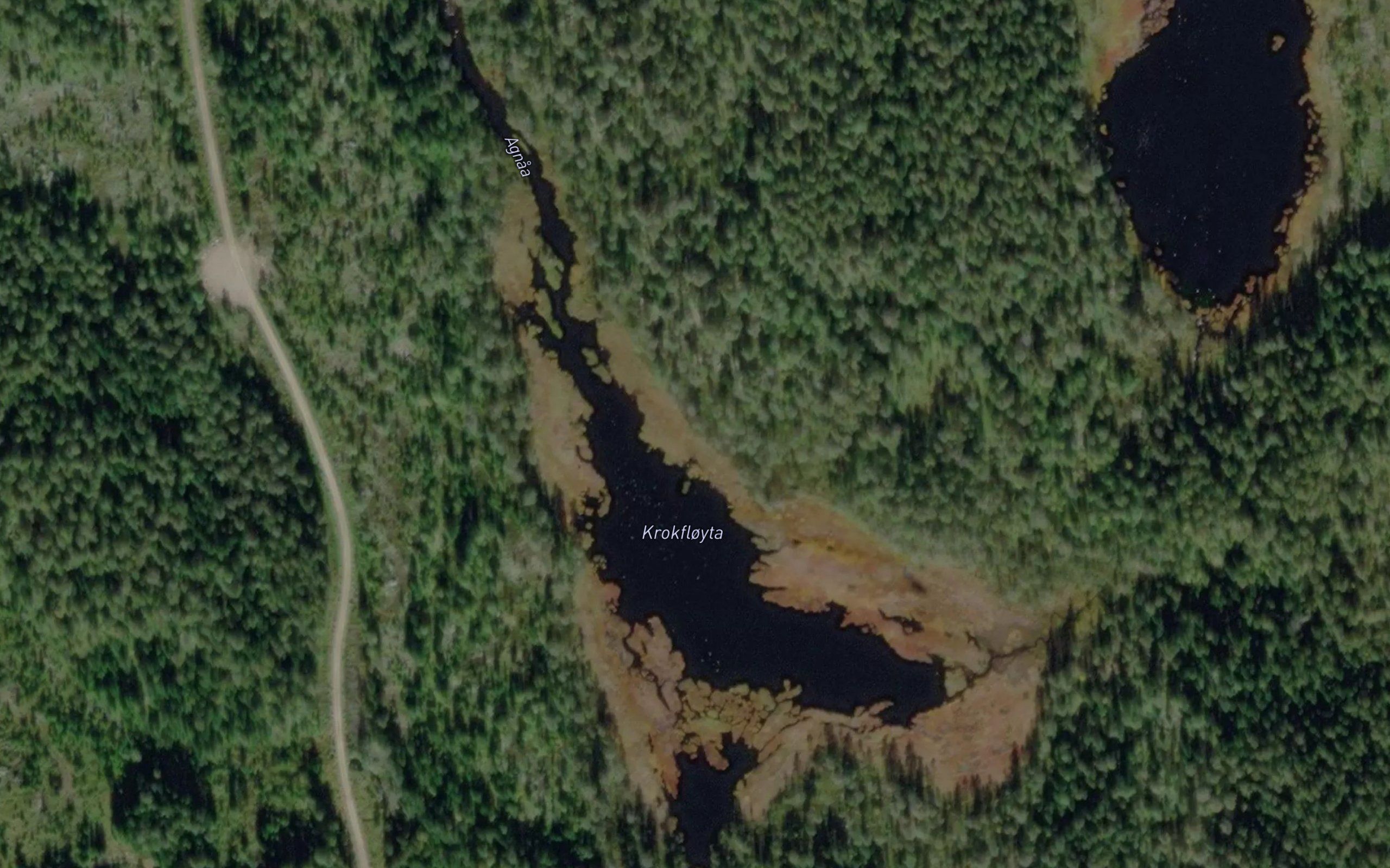Krokfloyta
