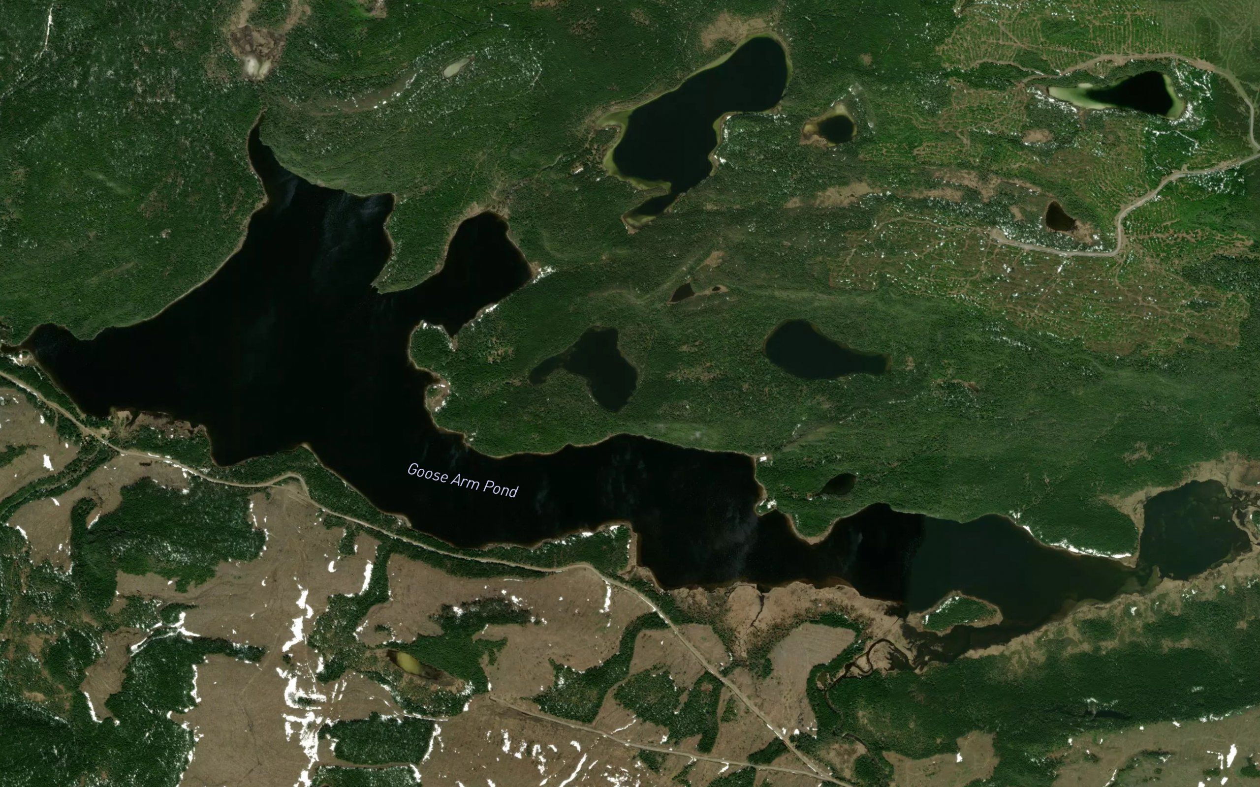 Goose Arm Pond