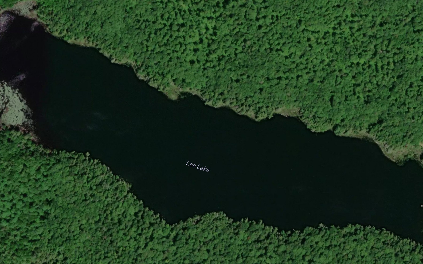Satellite map of the Lee Lake