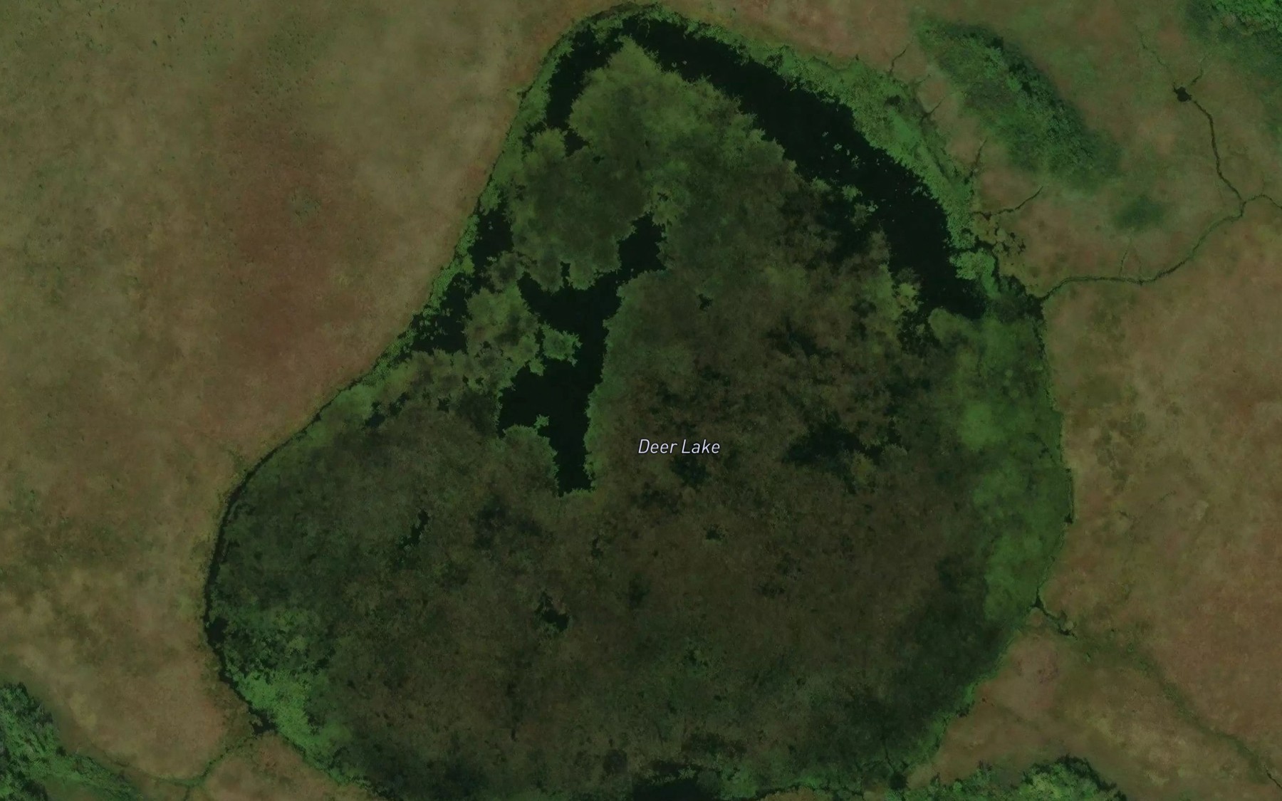 Satellite map of the Deer Lake