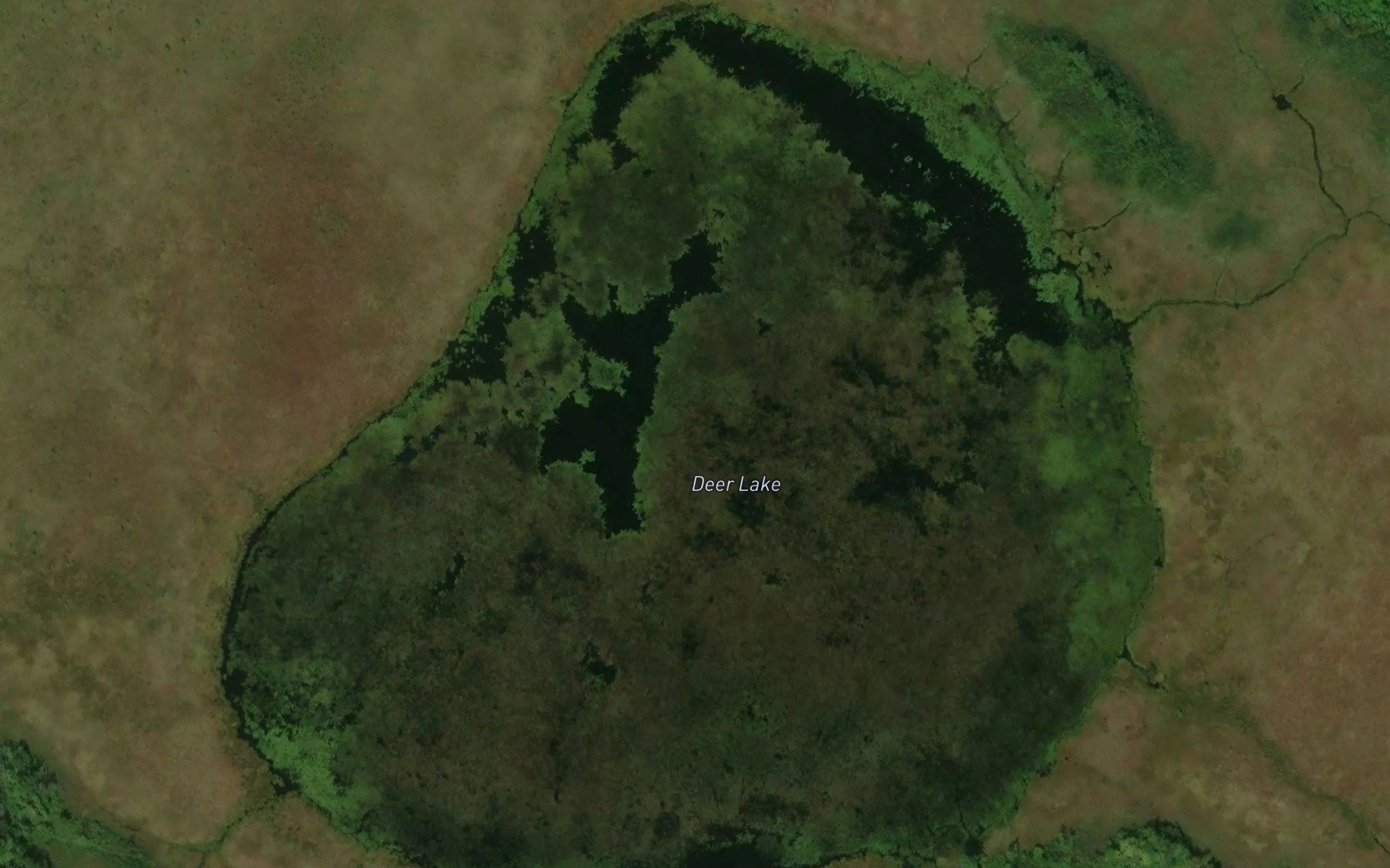 Deer Lake