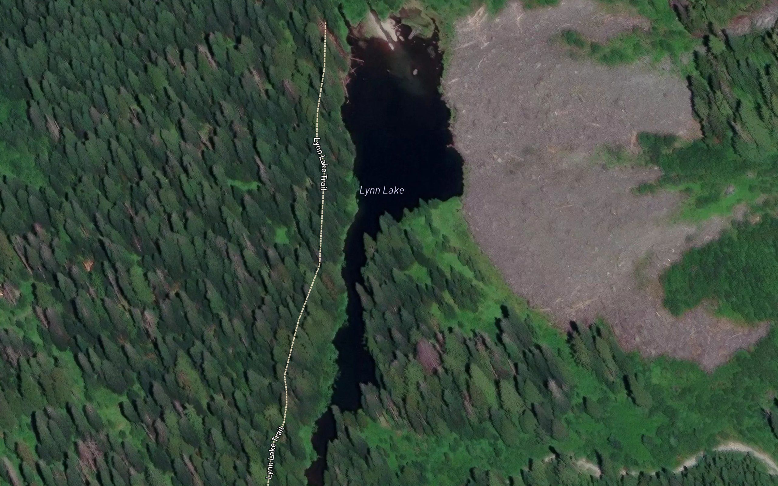 Lynn Lake