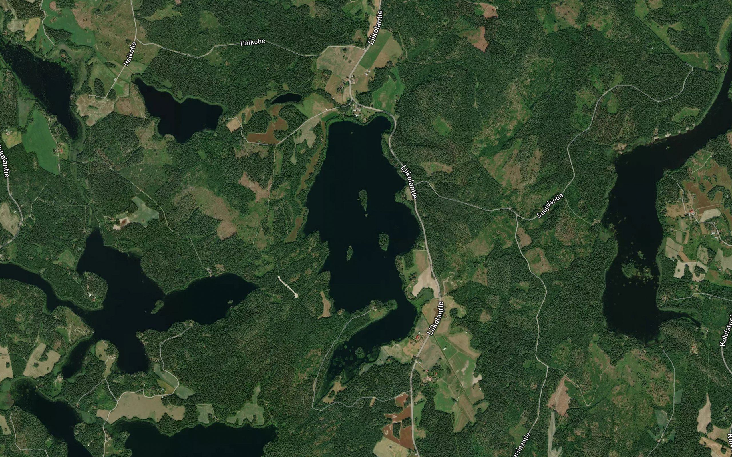 Saynatjarvi