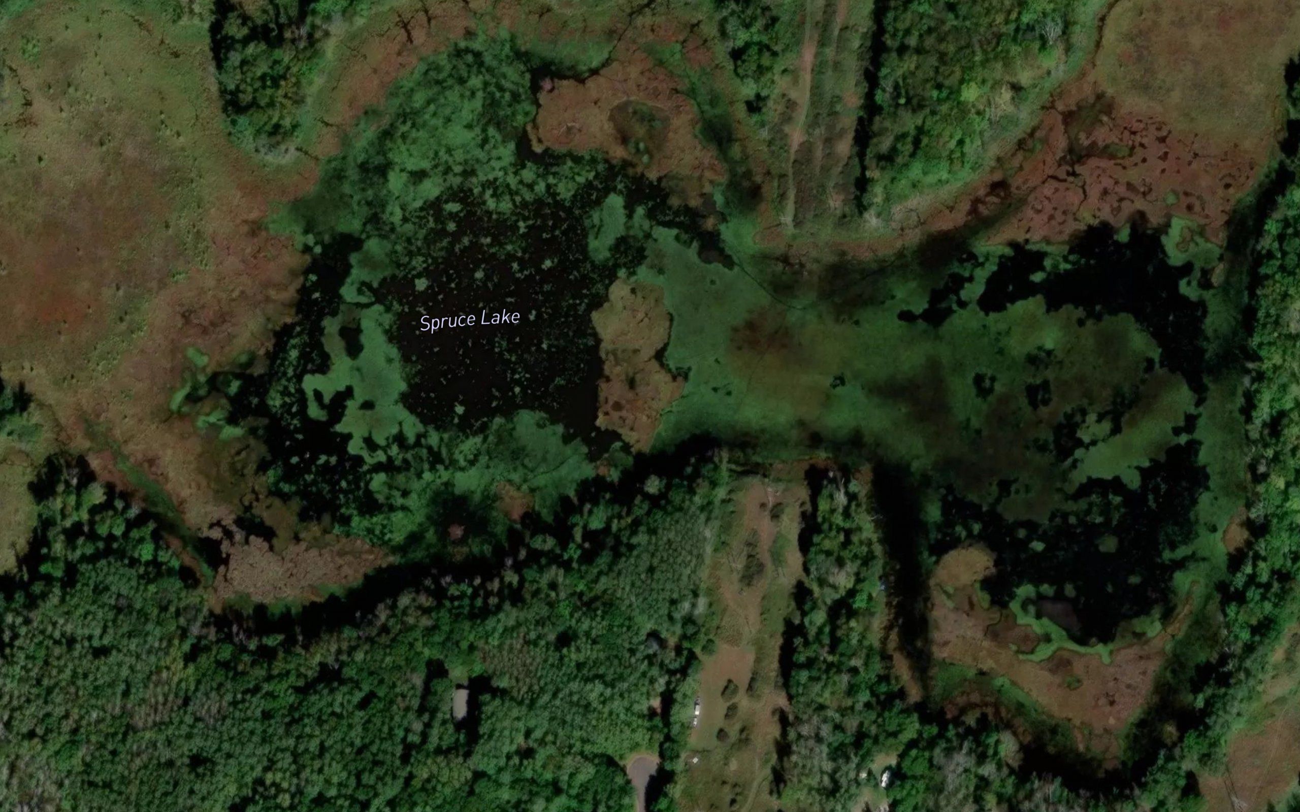 Spruce Lake