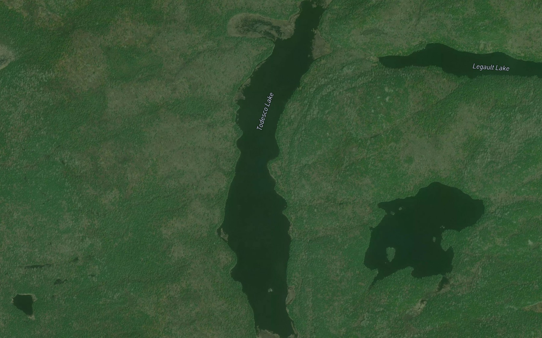 Satellite map of the Todesco Lake