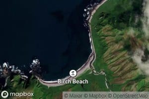 Blonde Cove