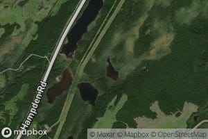 Rushy Pond