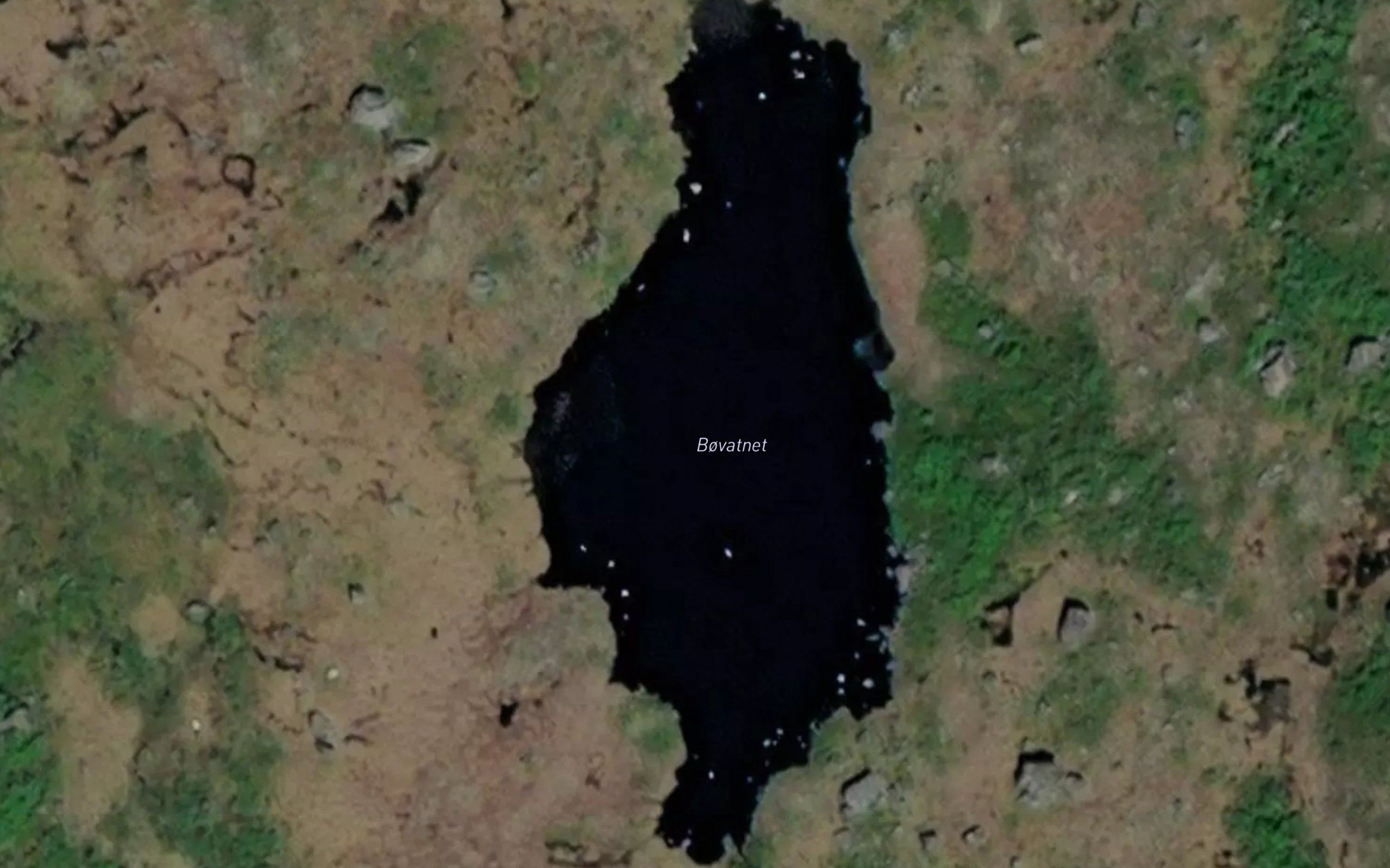 Bovatnet