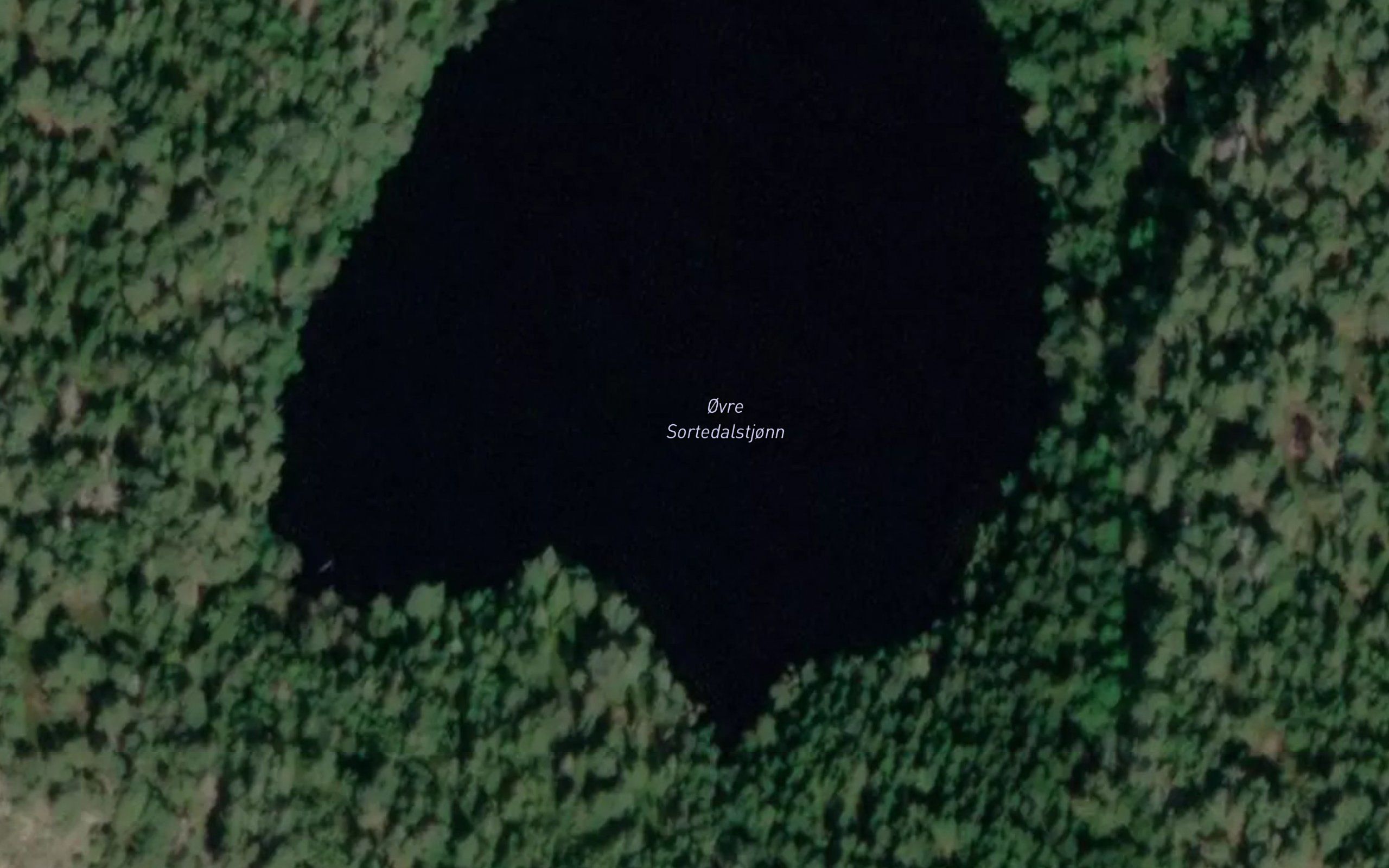 Surtedalstjerna,ovre