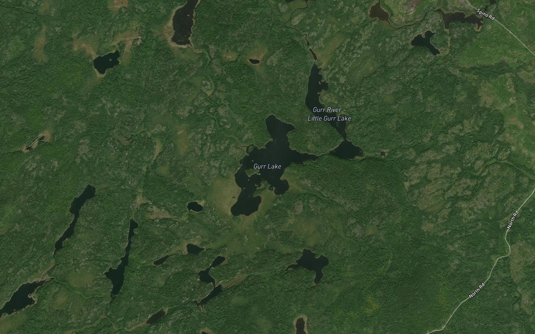 Satellite map of the Gurr Lake