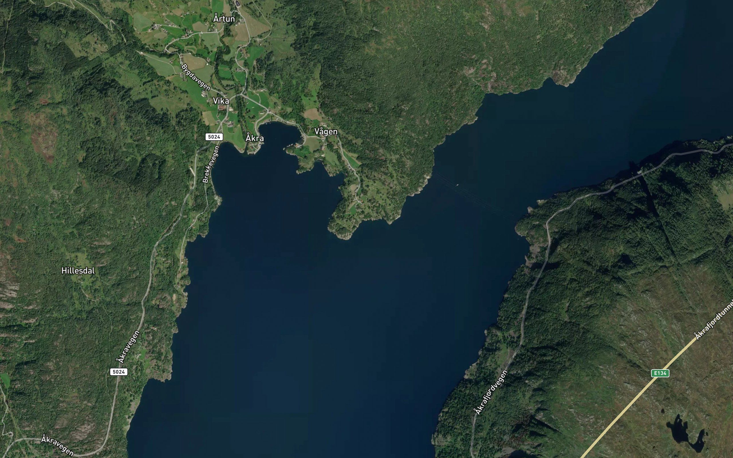 Apalevika
