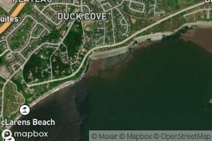 Duck Cove