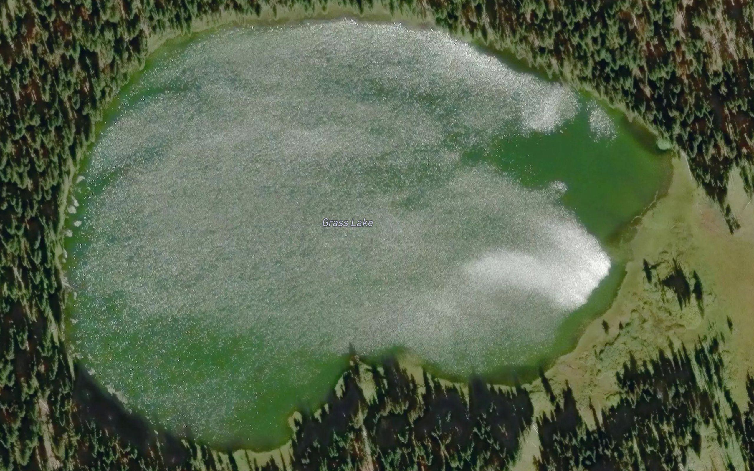 Grass Lake