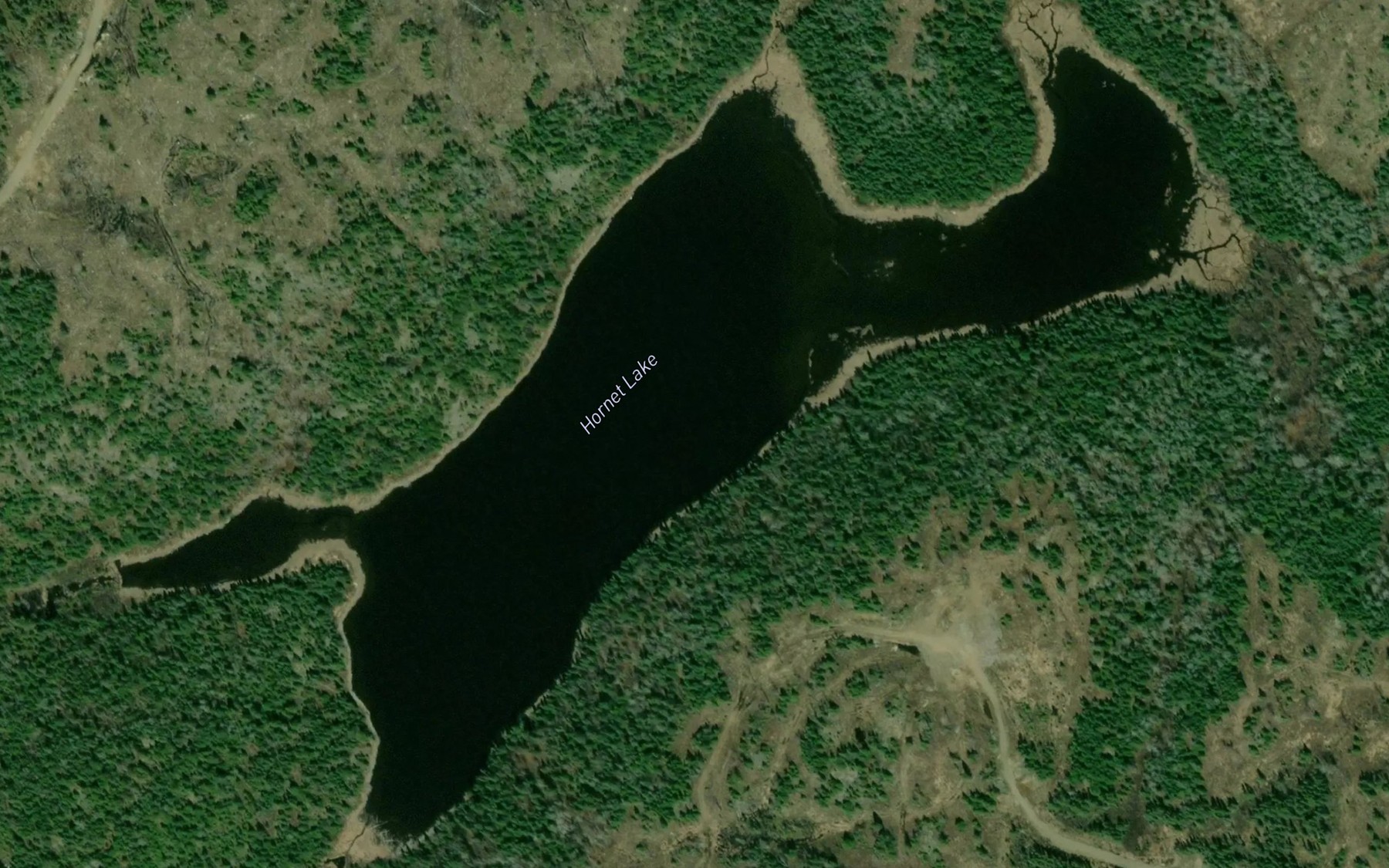 Satellite map of the Hornet Lake