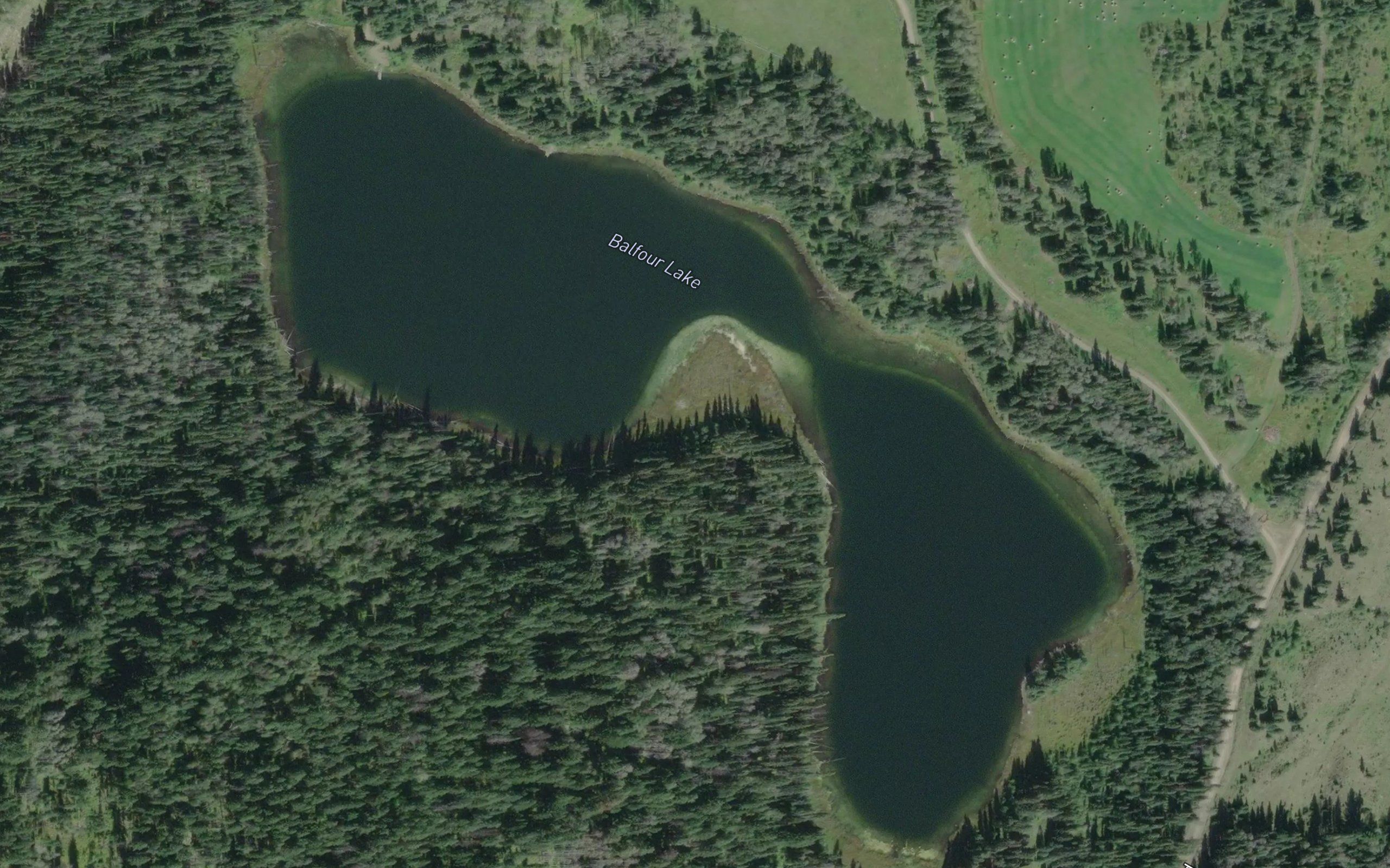 Balfour Lake
