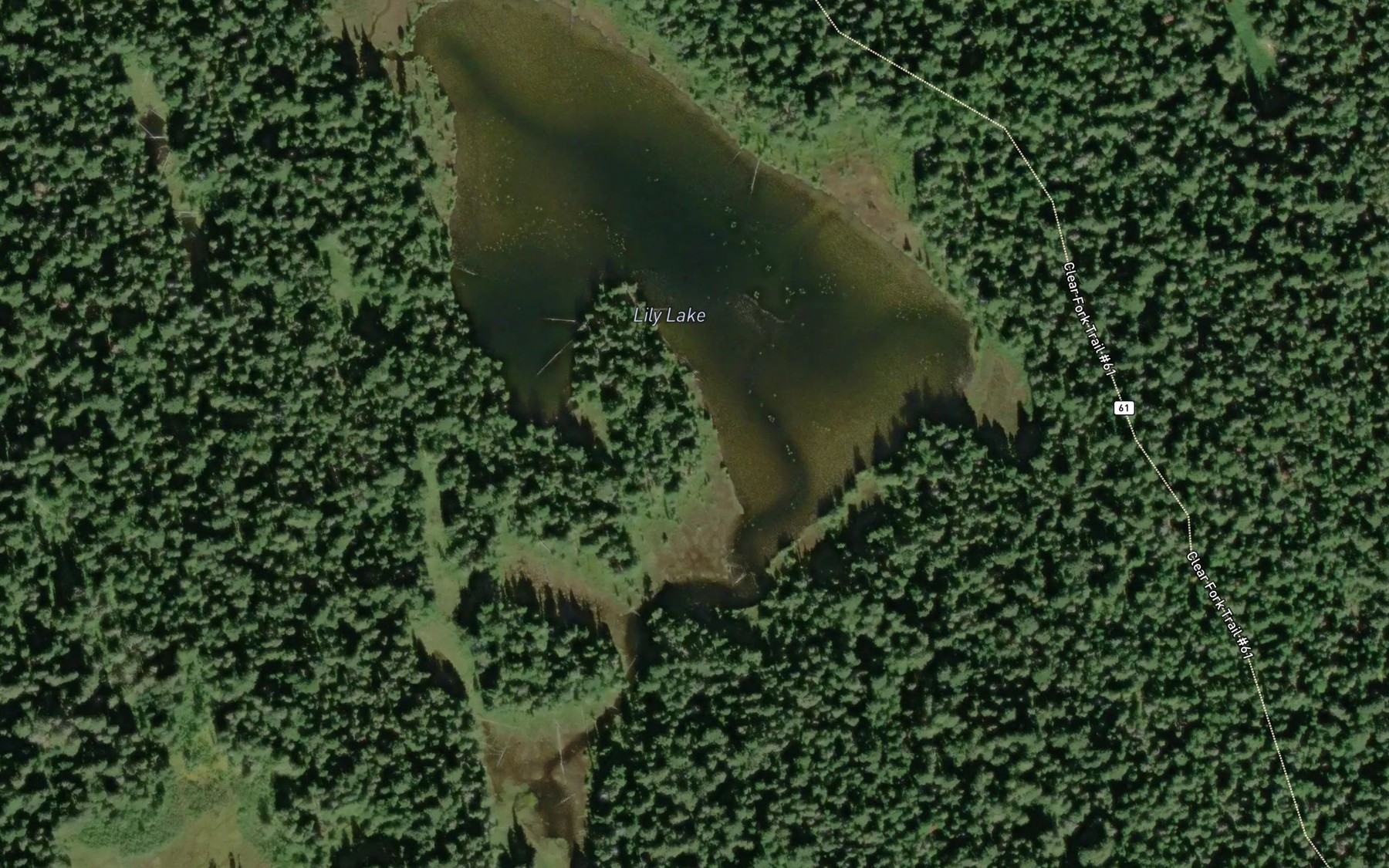 Satellite map of the Lily Lake