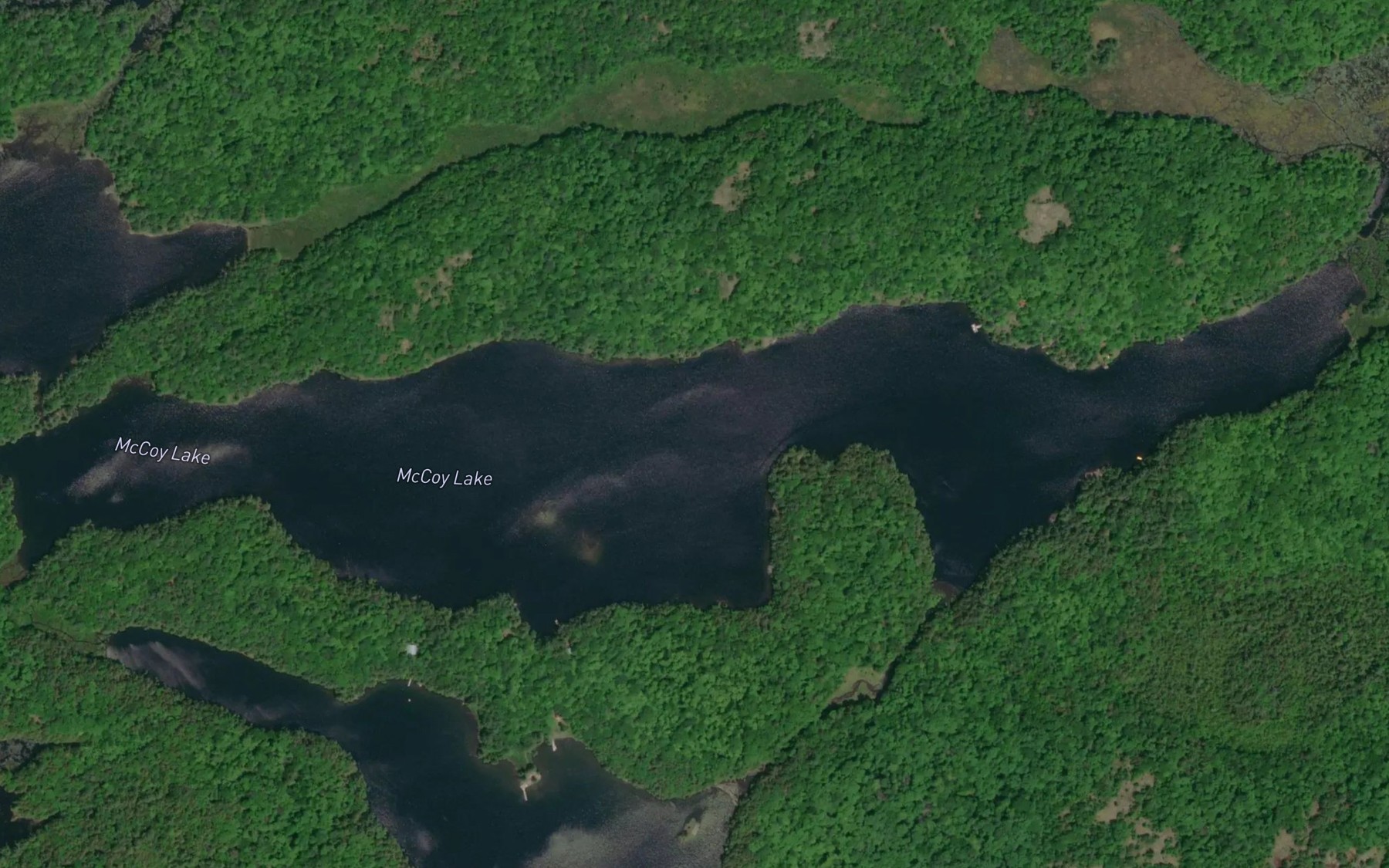 Satellite map of the McCoy Lake