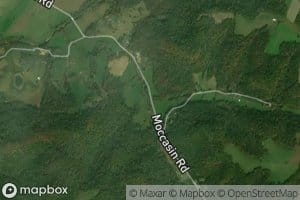 Little Moccasin Creek